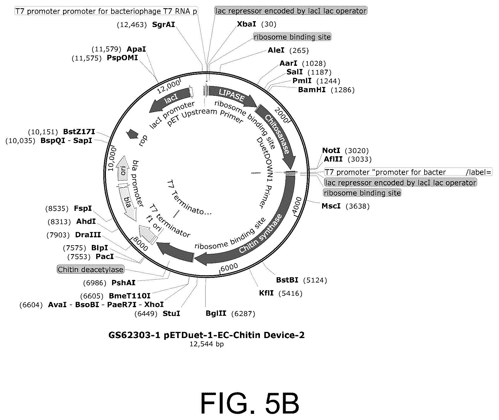 Patent US12129500 Figure 13 – Methods for producing a polyactive carbohydrate and applications thereof