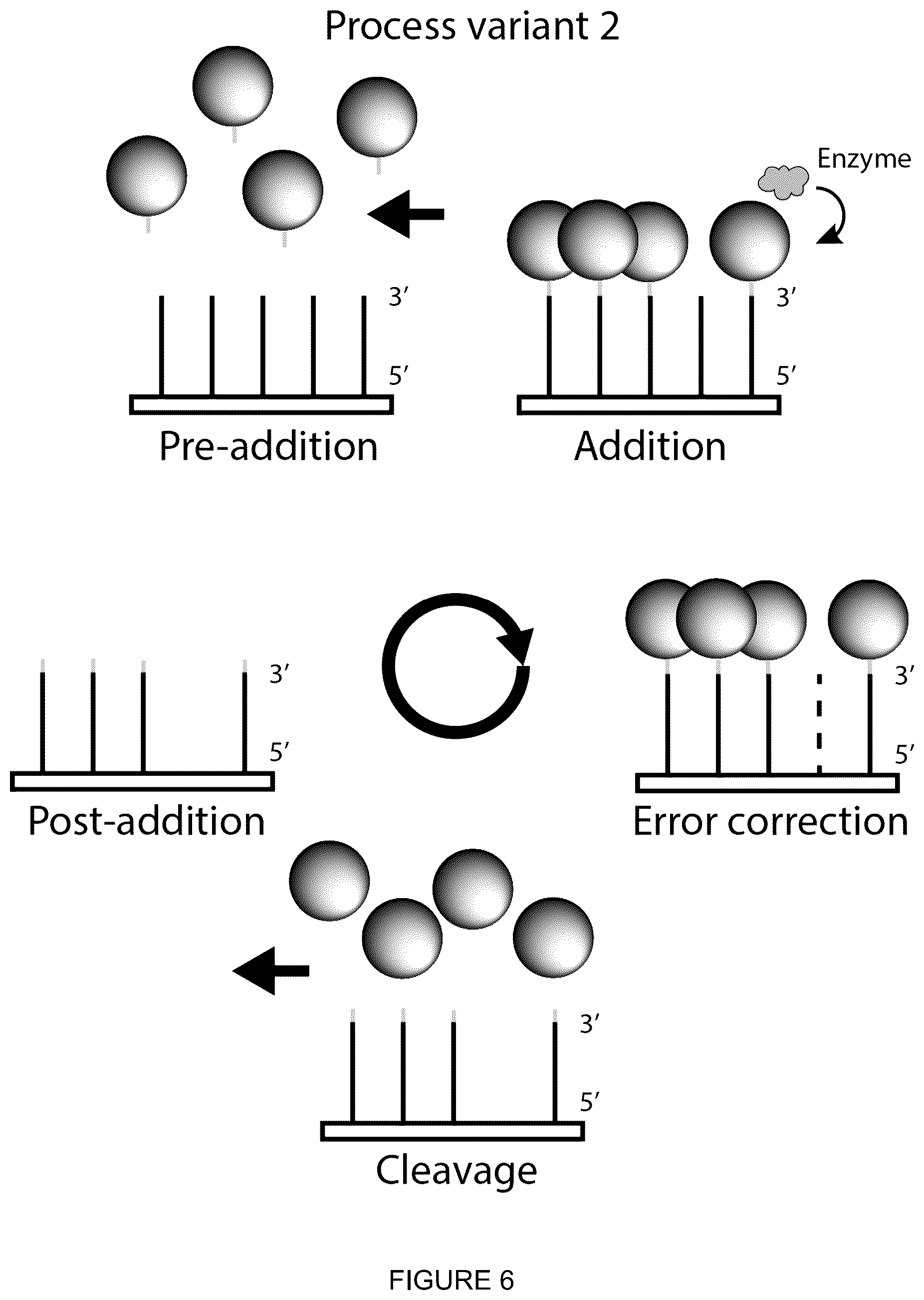 Patent US12129501 Figure 5 – Polymer synthesis using electrowetting devices