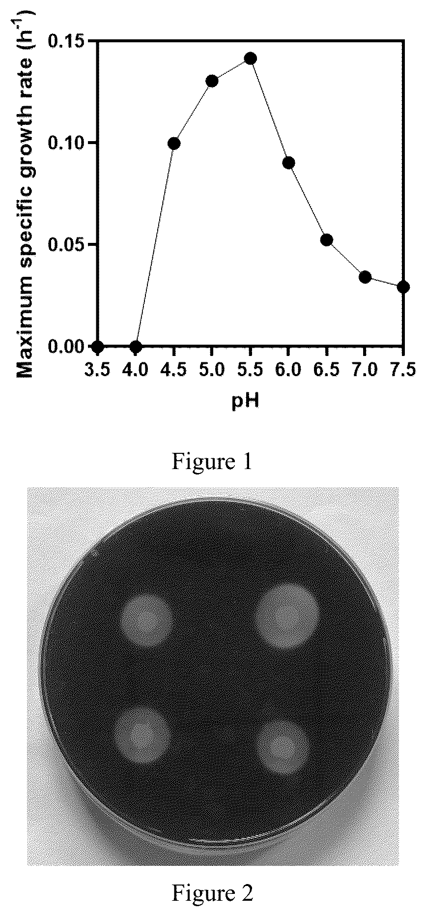 Patent US12129504 Figure 1 – Caproate-producing bacterium with multiple substrate utilization capabilities and its applications