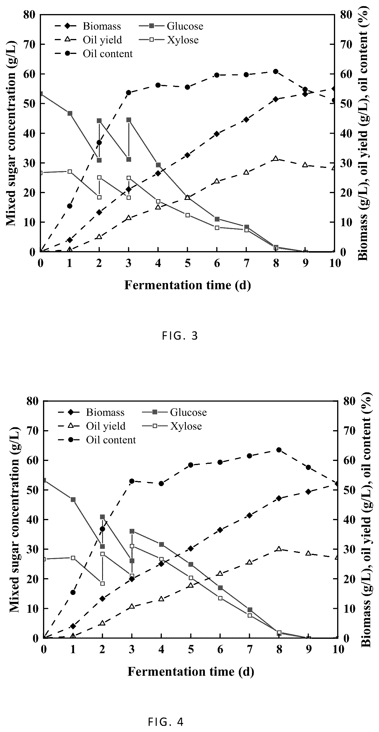 Patent US12129505 Figure 2 – Oleaginous yeast and its application