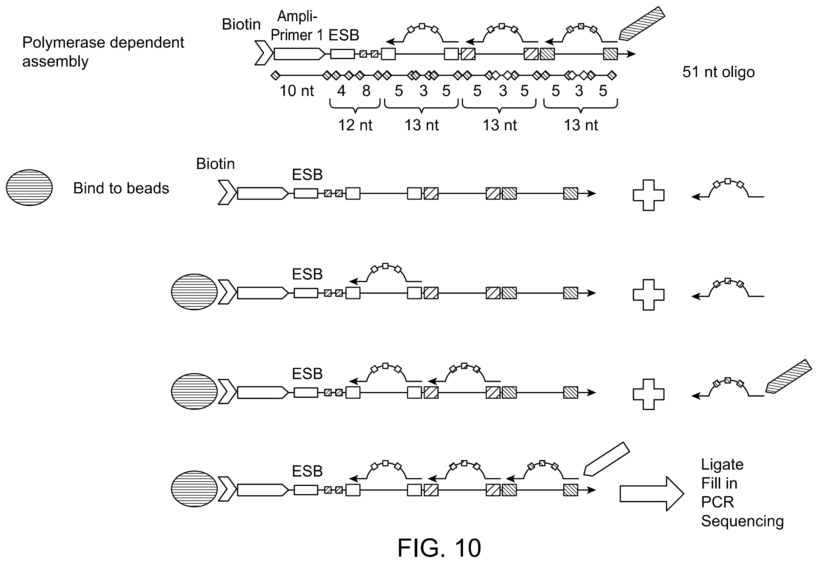 Patent US12129512 Figure 11 – Composition comprising cell origination barcodes for the analysis of both protein and nucleic acid from the same cell