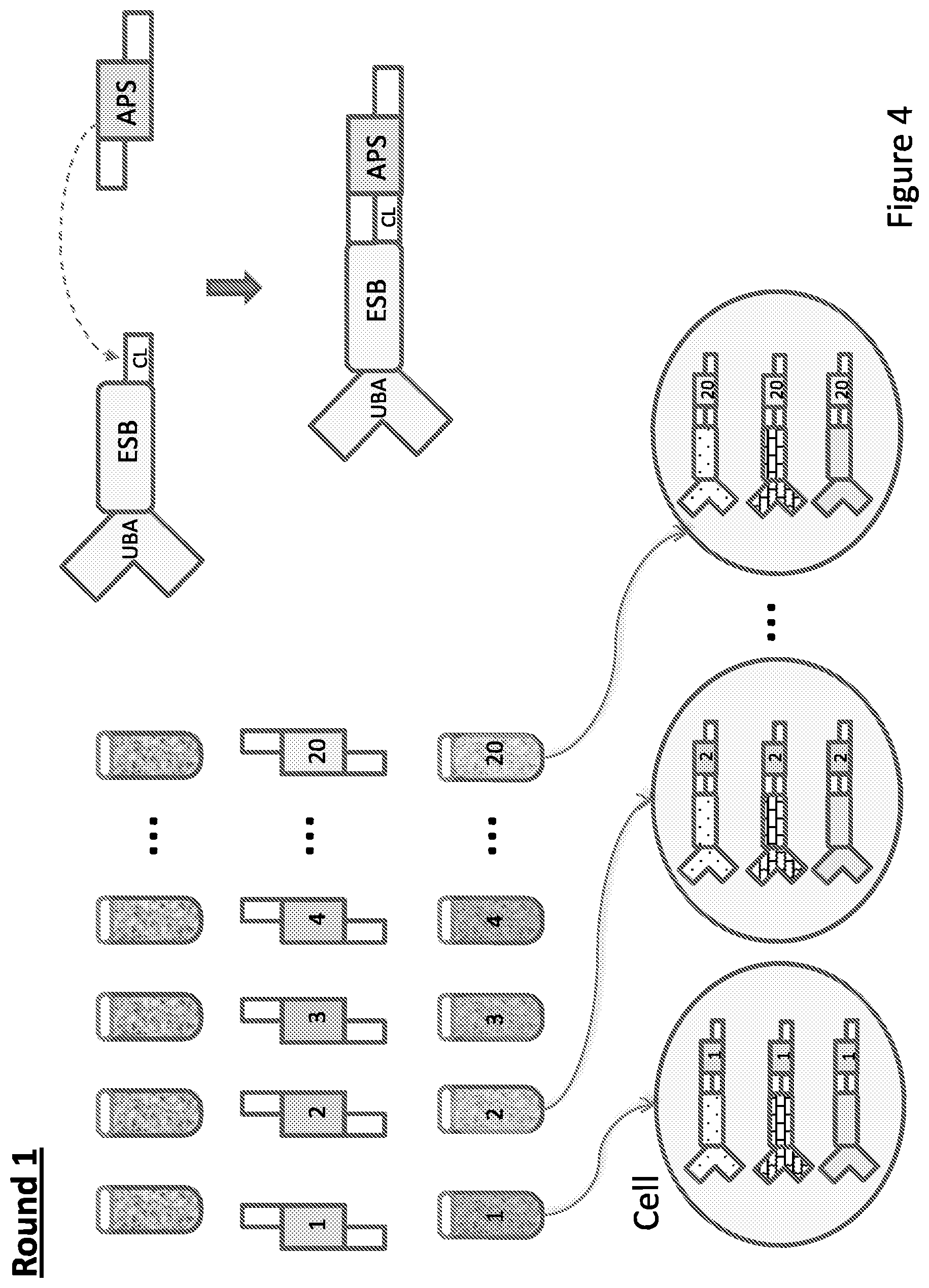 Patent US12129513 Figure 4 – Method for barcoding