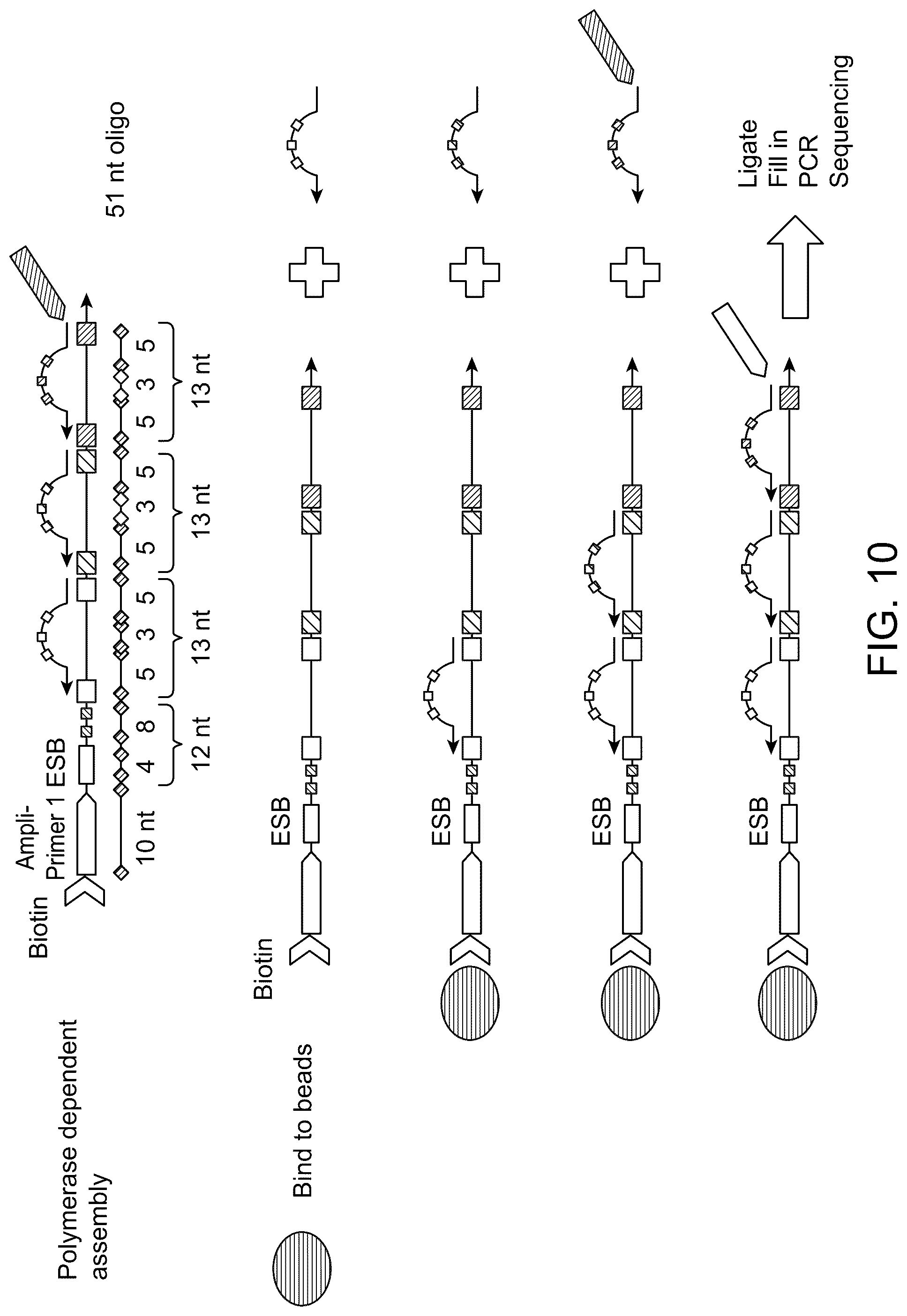 Patent US12129513 Figure 11 – Method for barcoding