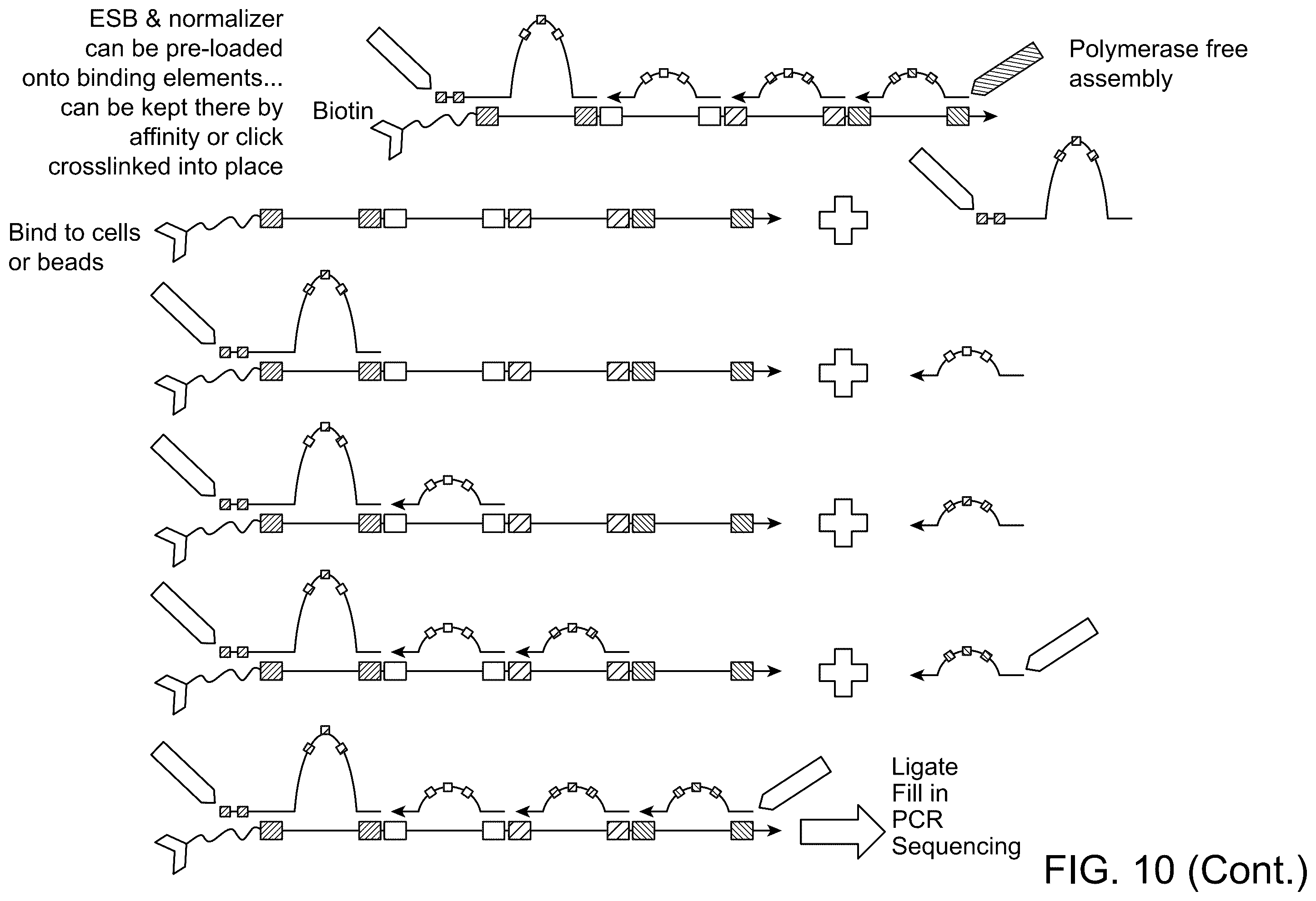 Patent US12129513 Figure 12 – Method for barcoding