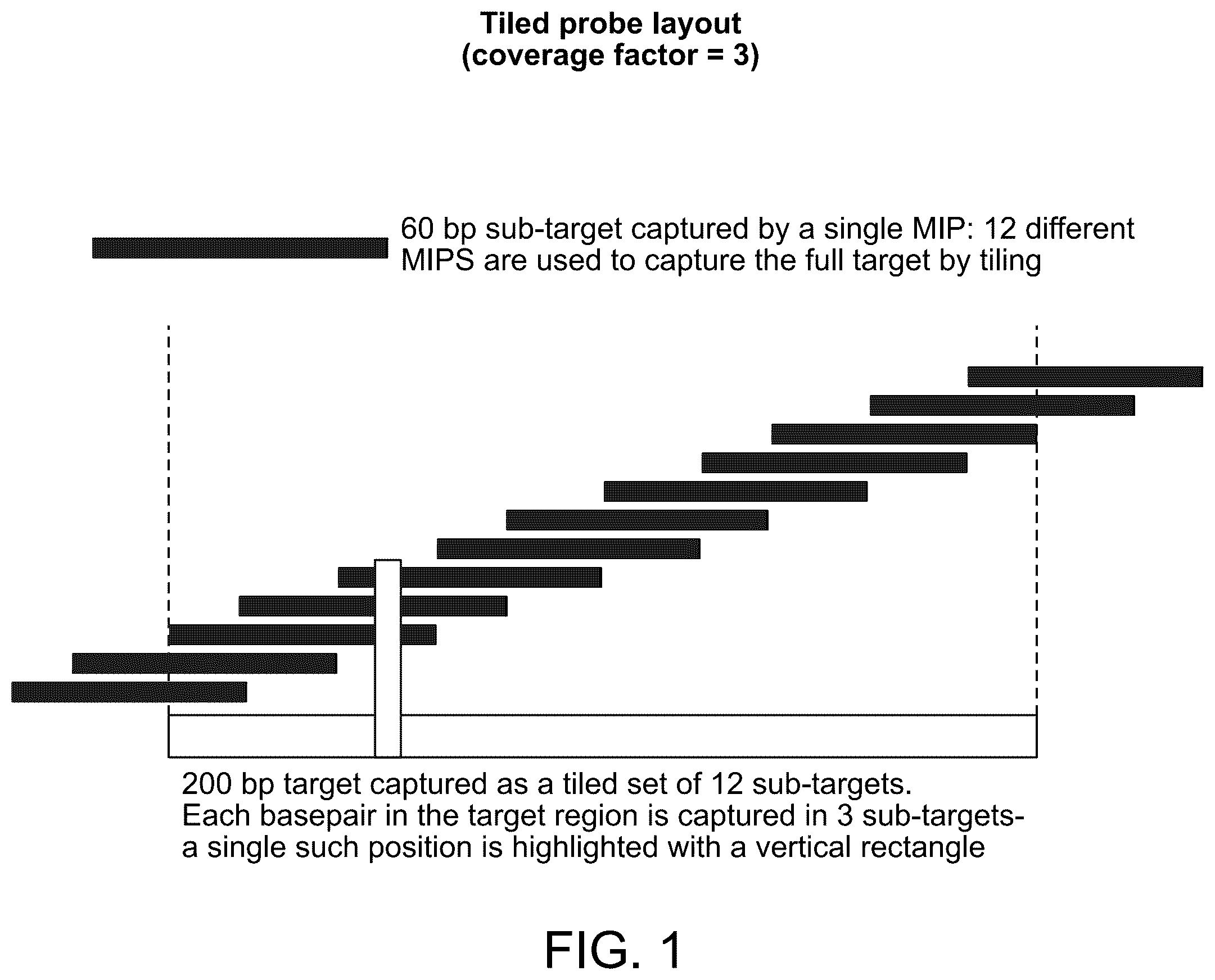 Patent US12129514 Figure 1 – Methods and compositions for evaluating genetic markers