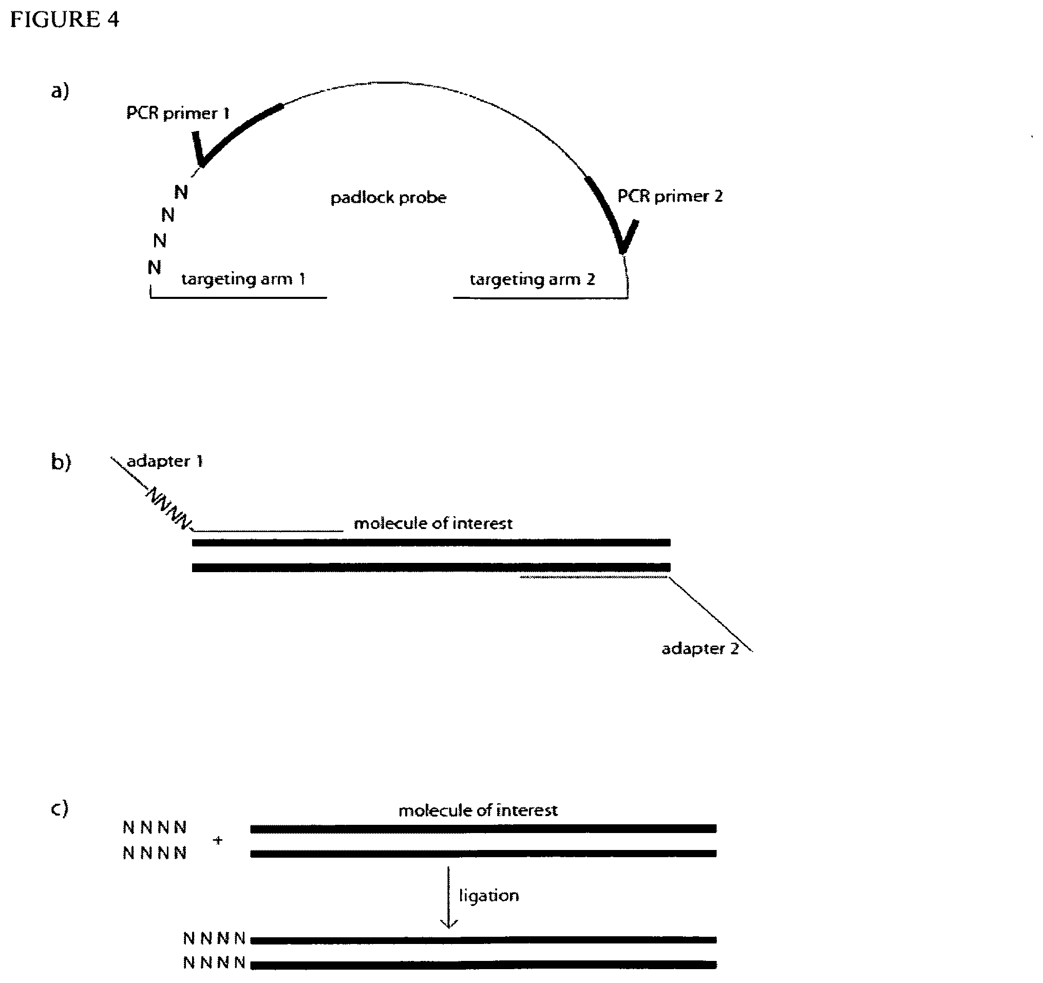 Patent US12129514 Figure 4 – Methods and compositions for evaluating genetic markers