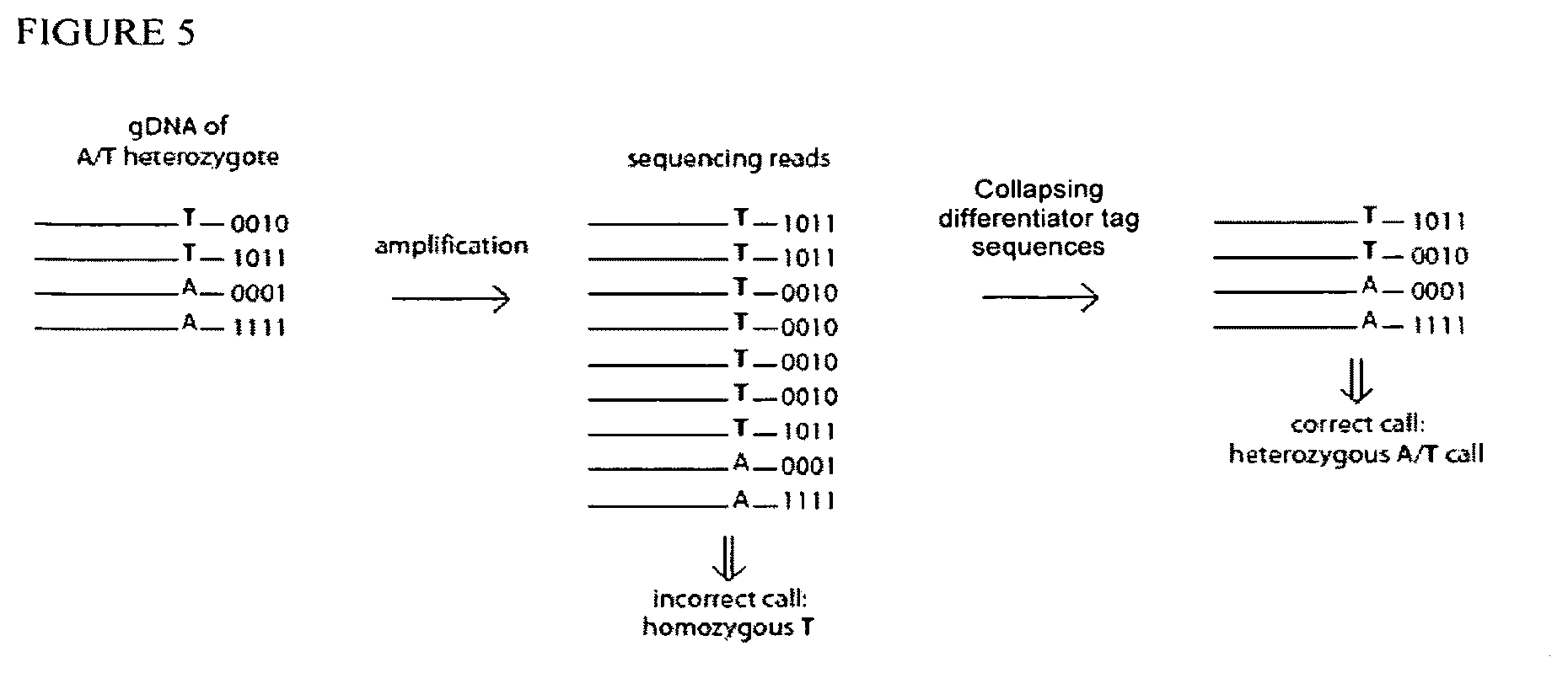 Patent US12129514 Figure 5 – Methods and compositions for evaluating genetic markers