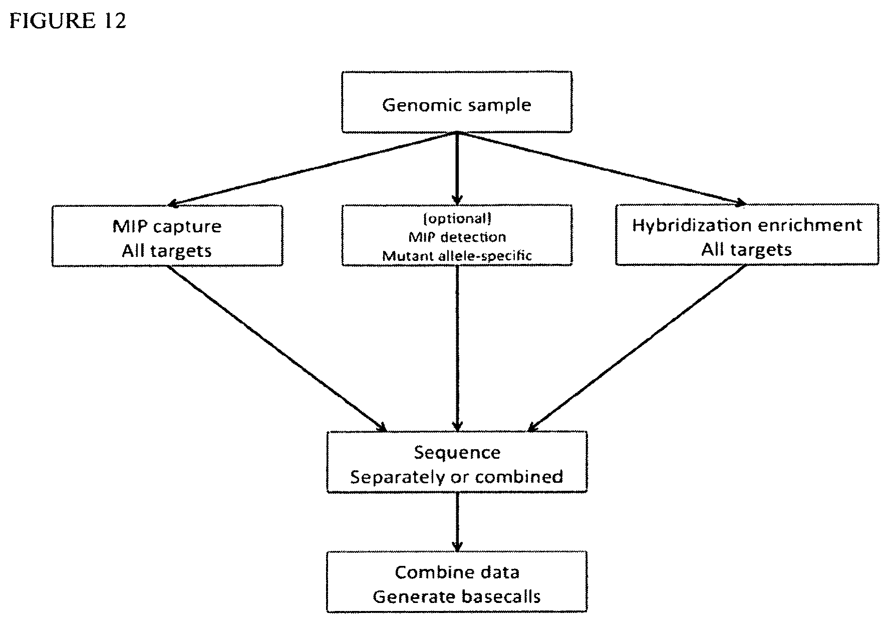 Patent US12129514 Figure 14 – Methods and compositions for evaluating genetic markers