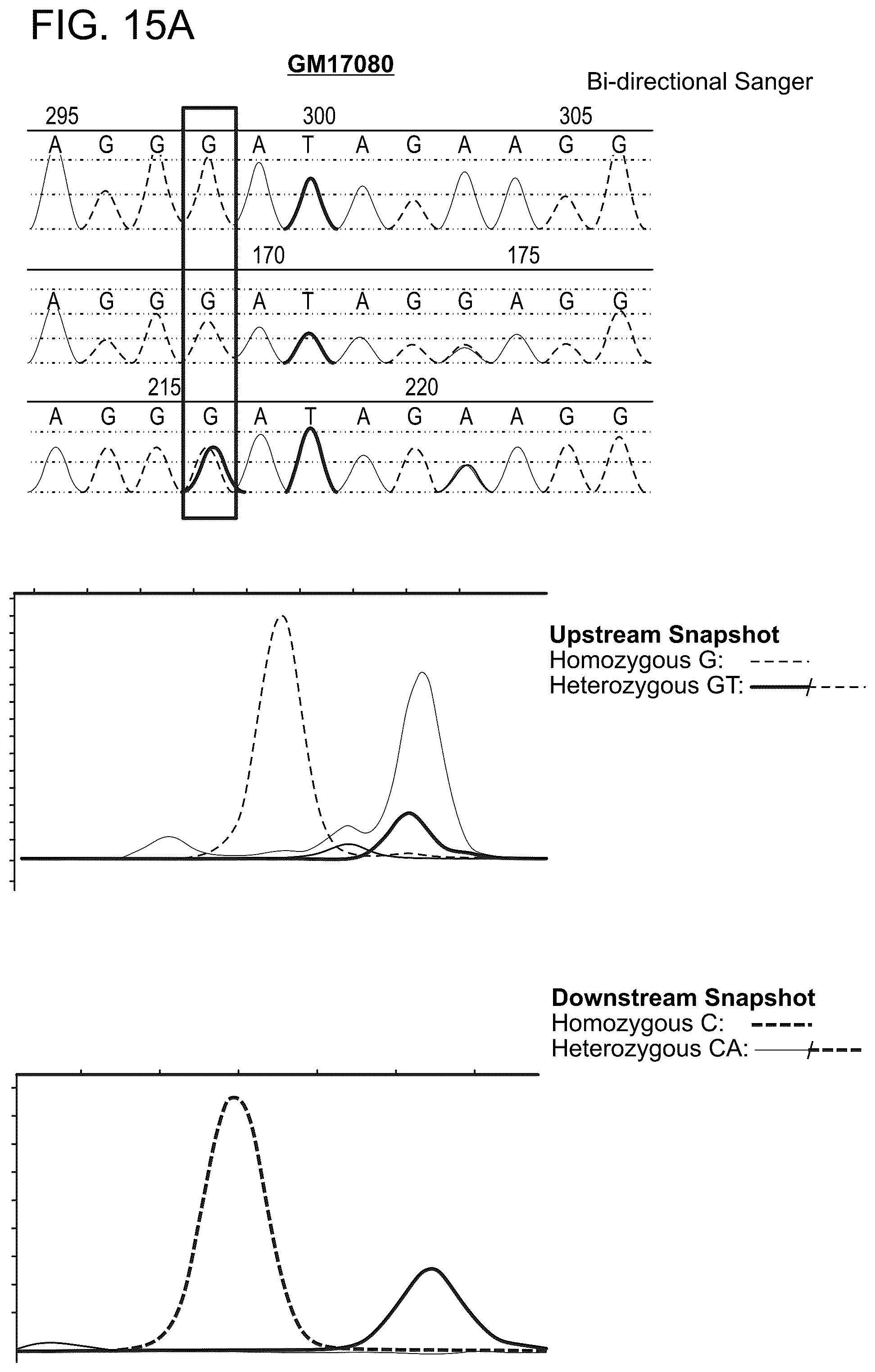 Patent US12129514 Figure 17 – Methods and compositions for evaluating genetic markers