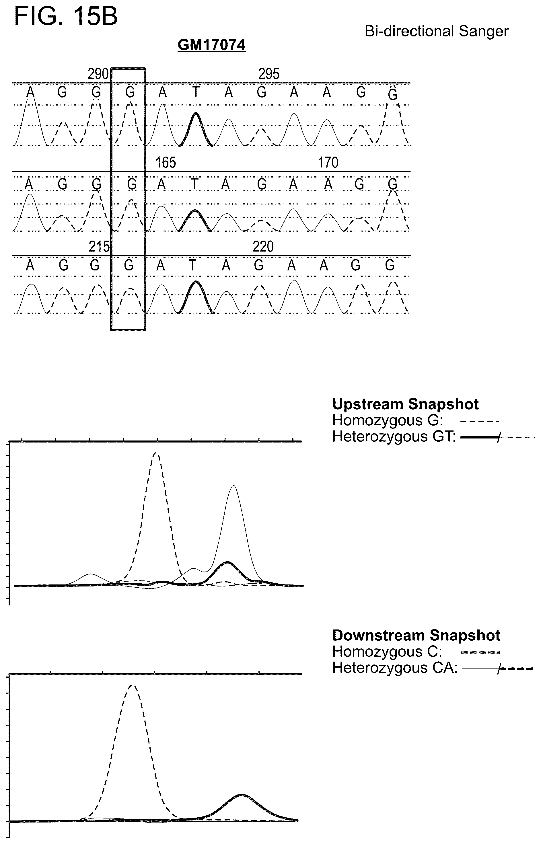 Patent US12129514 Figure 18 – Methods and compositions for evaluating genetic markers
