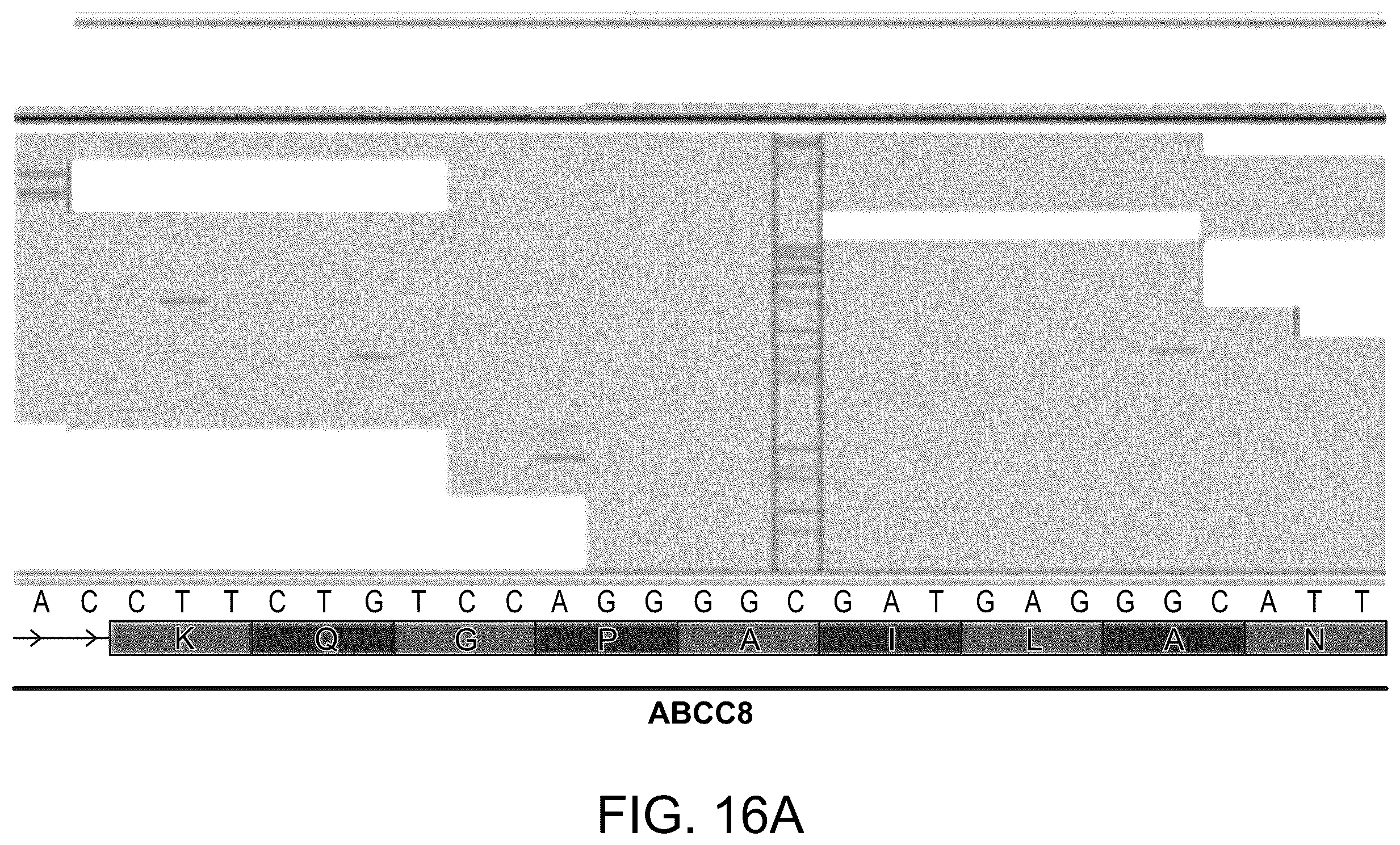 Patent US12129514 Figure 19 – Methods and compositions for evaluating genetic markers