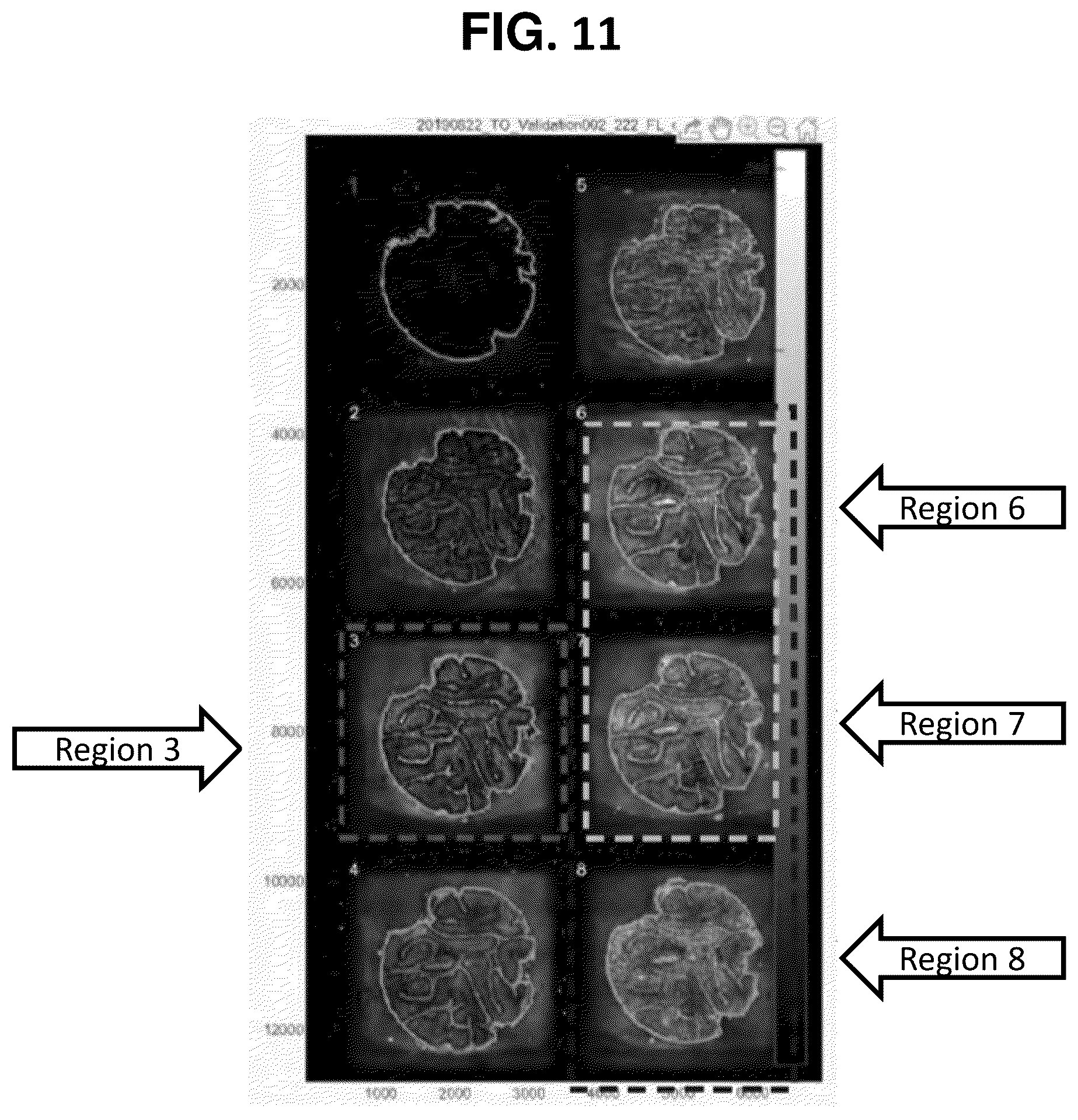 Patent US12129516 Figure 9 – Quantitative and automated permeabilization performance evaluation for spatial transcriptomics