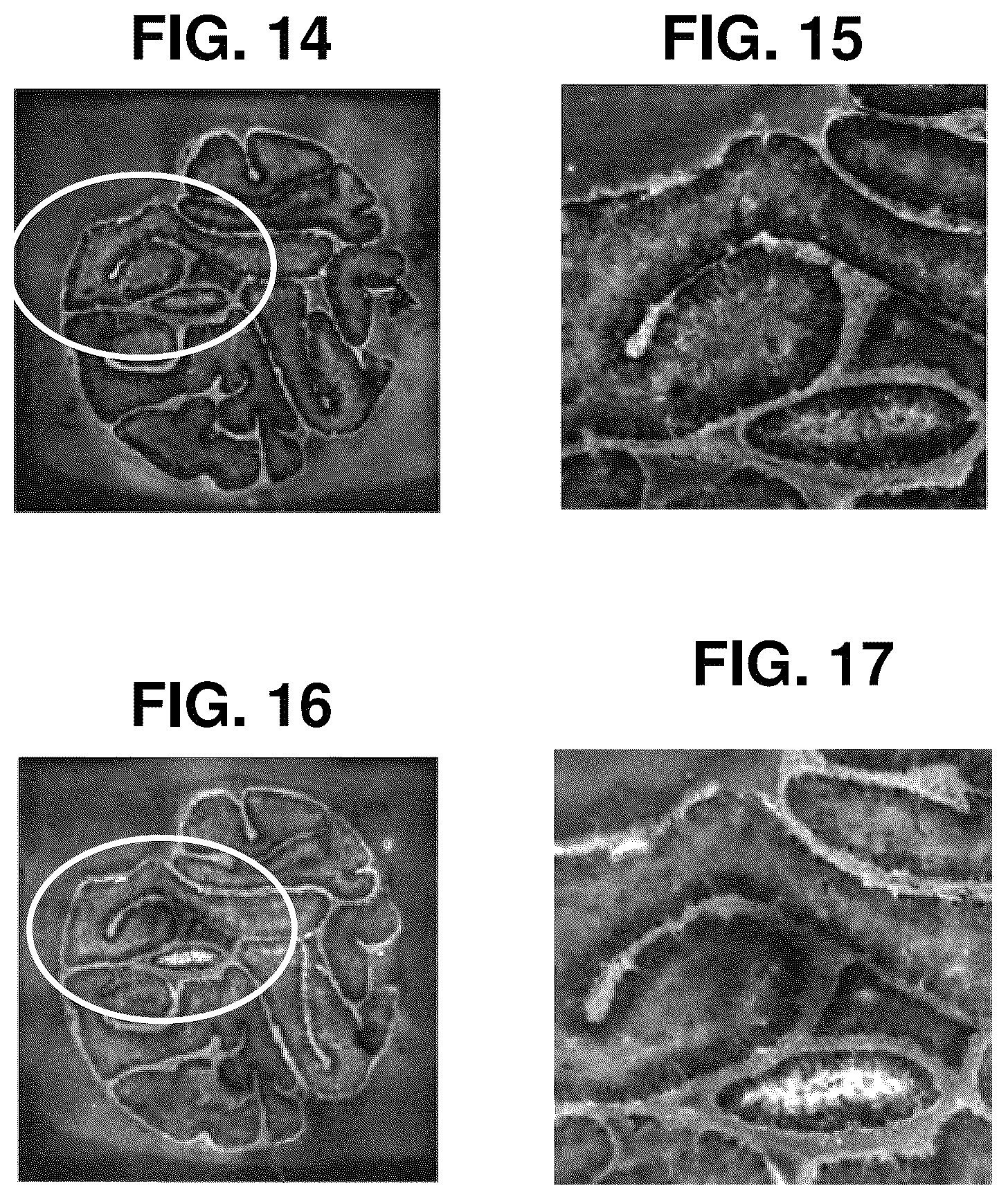Patent US12129516 Figure 12 – Quantitative and automated permeabilization performance evaluation for spatial transcriptomics