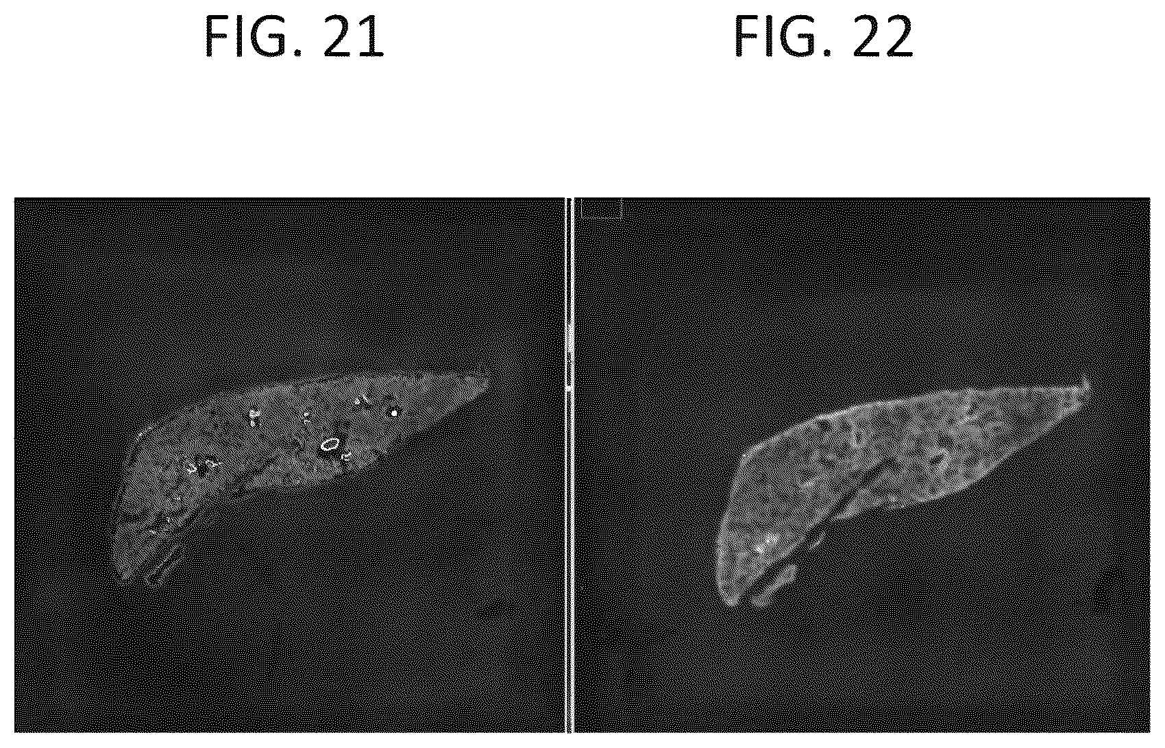 Patent US12129516 Figure 16 – Quantitative and automated permeabilization performance evaluation for spatial transcriptomics