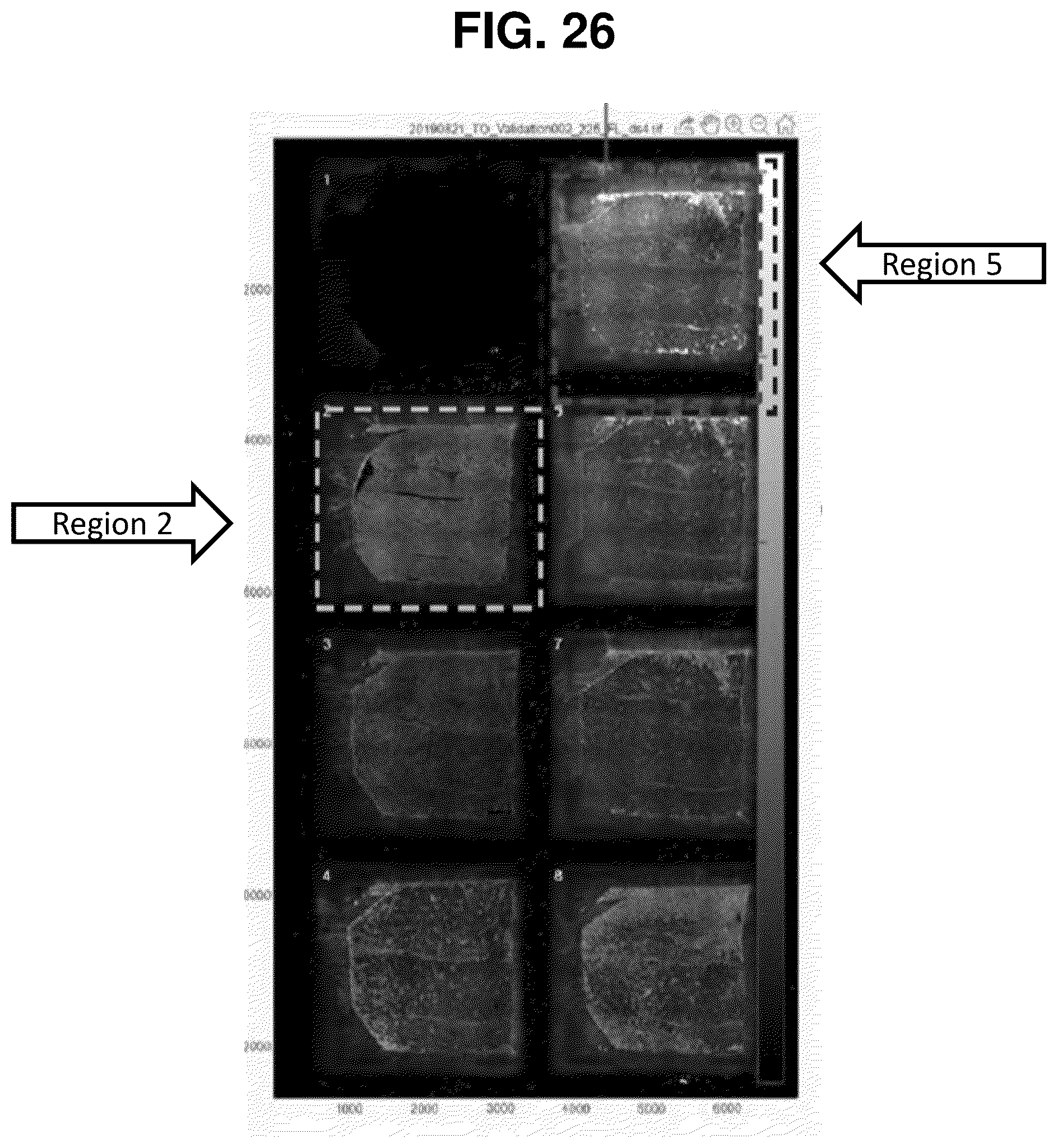 Patent US12129516 Figure 20 – Quantitative and automated permeabilization performance evaluation for spatial transcriptomics