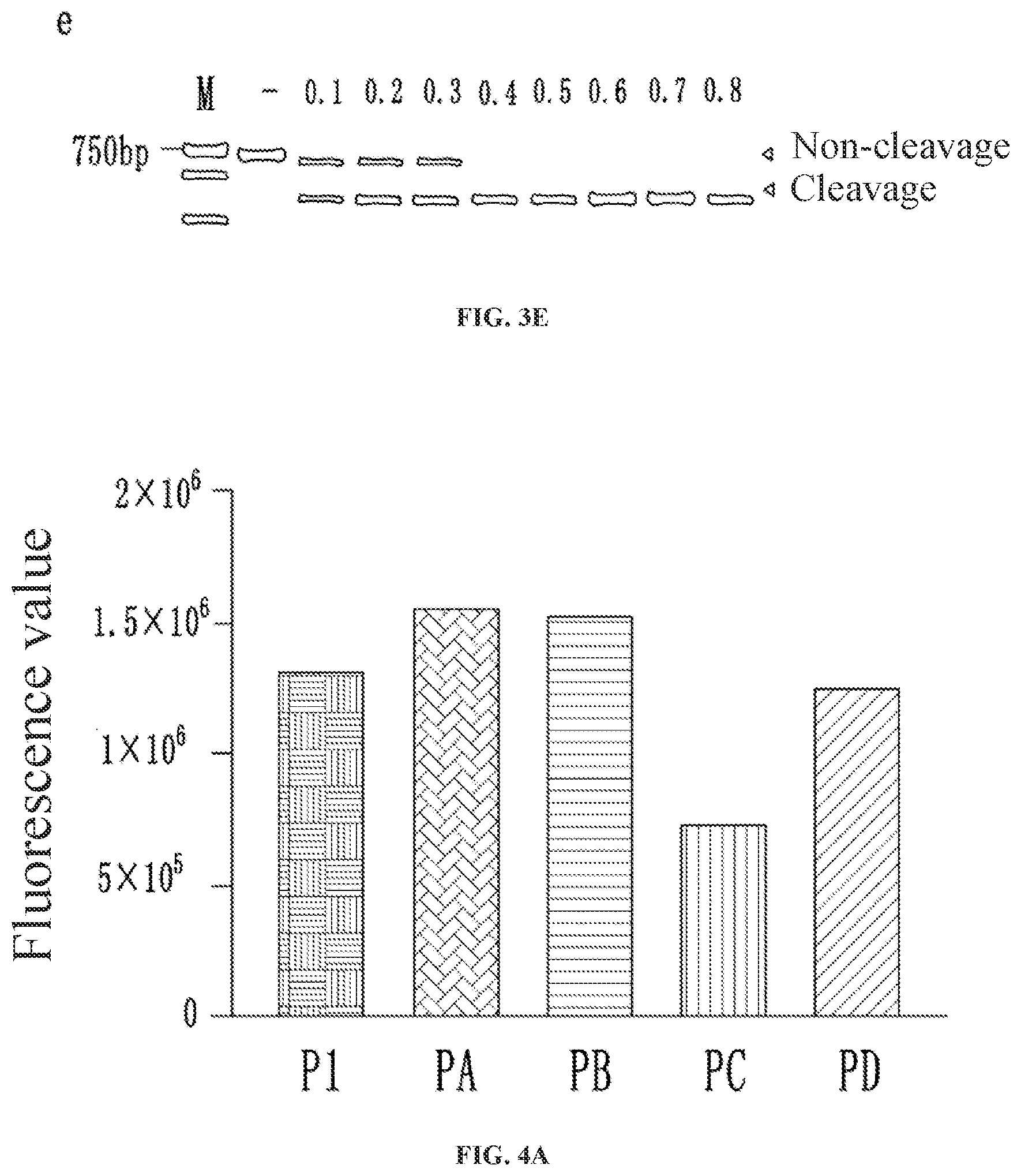 Patent US12129517 Figure 3 – Kit for detecting African swine fever virus (ASFV)