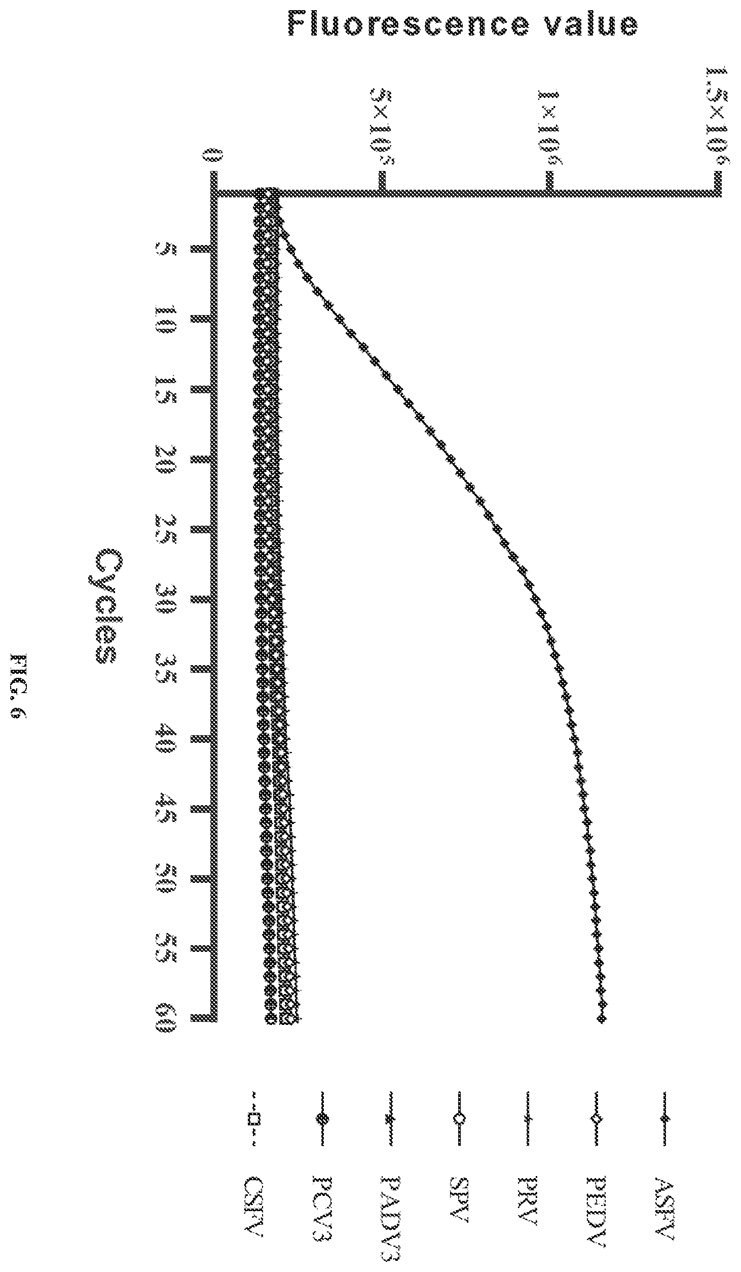 Patent US12129517 Figure 5 – Kit for detecting African swine fever virus (ASFV)