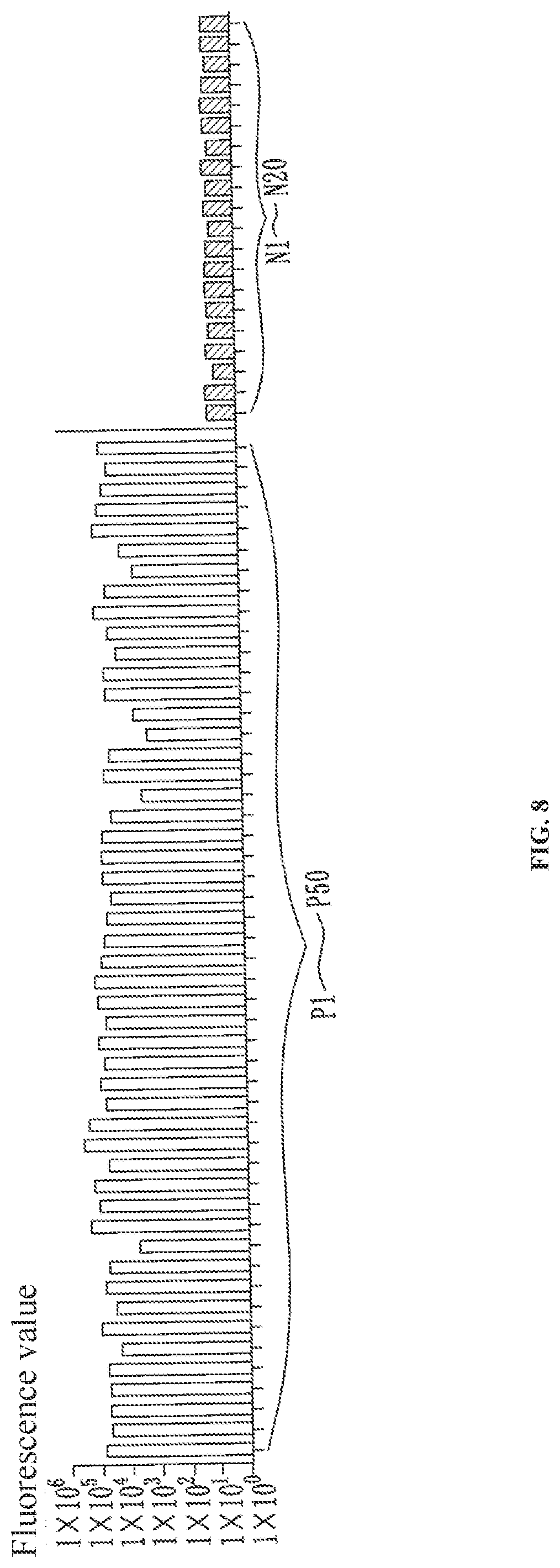 Patent US12129517 Figure 8 – Kit for detecting African swine fever virus (ASFV)