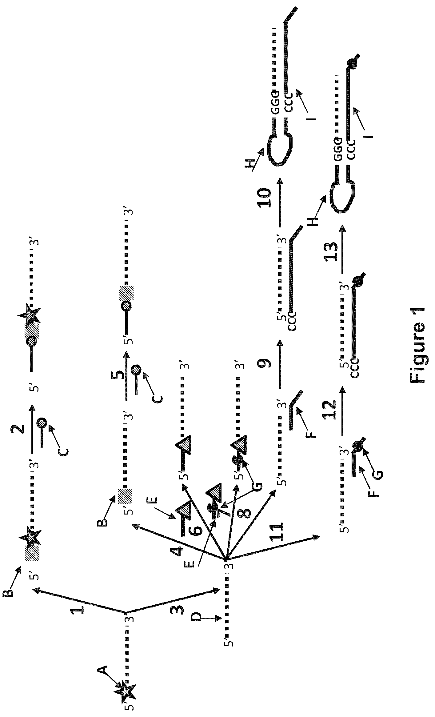 Patent US12129518 Figure 1 – Method for nanopore RNA characterization