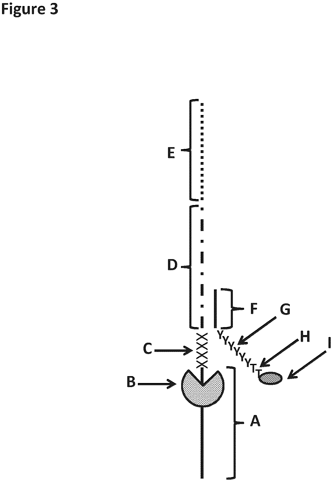 Patent US12129518 Figure 3 – Method for nanopore RNA characterization