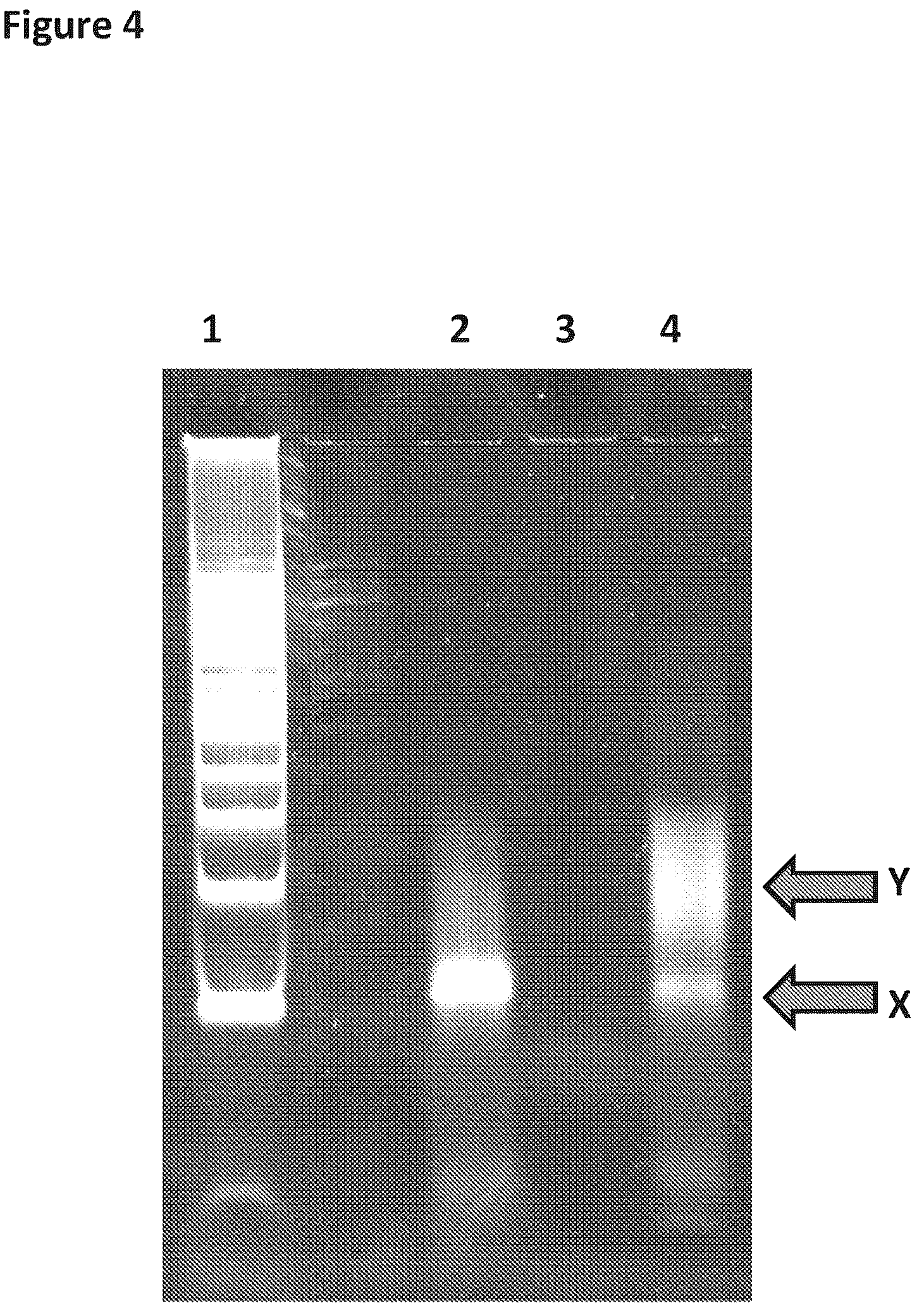 Patent US12129518 Figure 4 – Method for nanopore RNA characterization