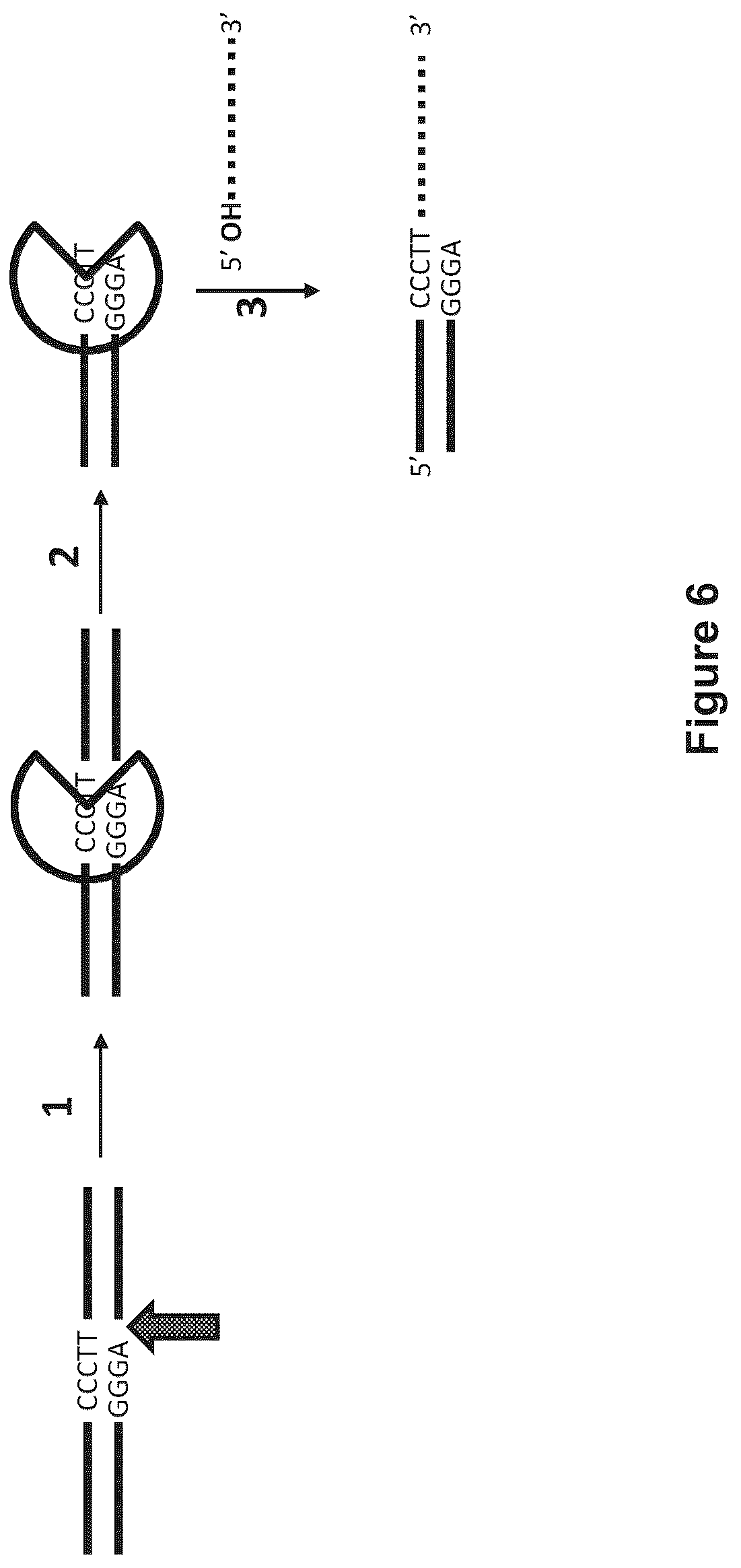 Patent US12129518 Figure 6 – Method for nanopore RNA characterization