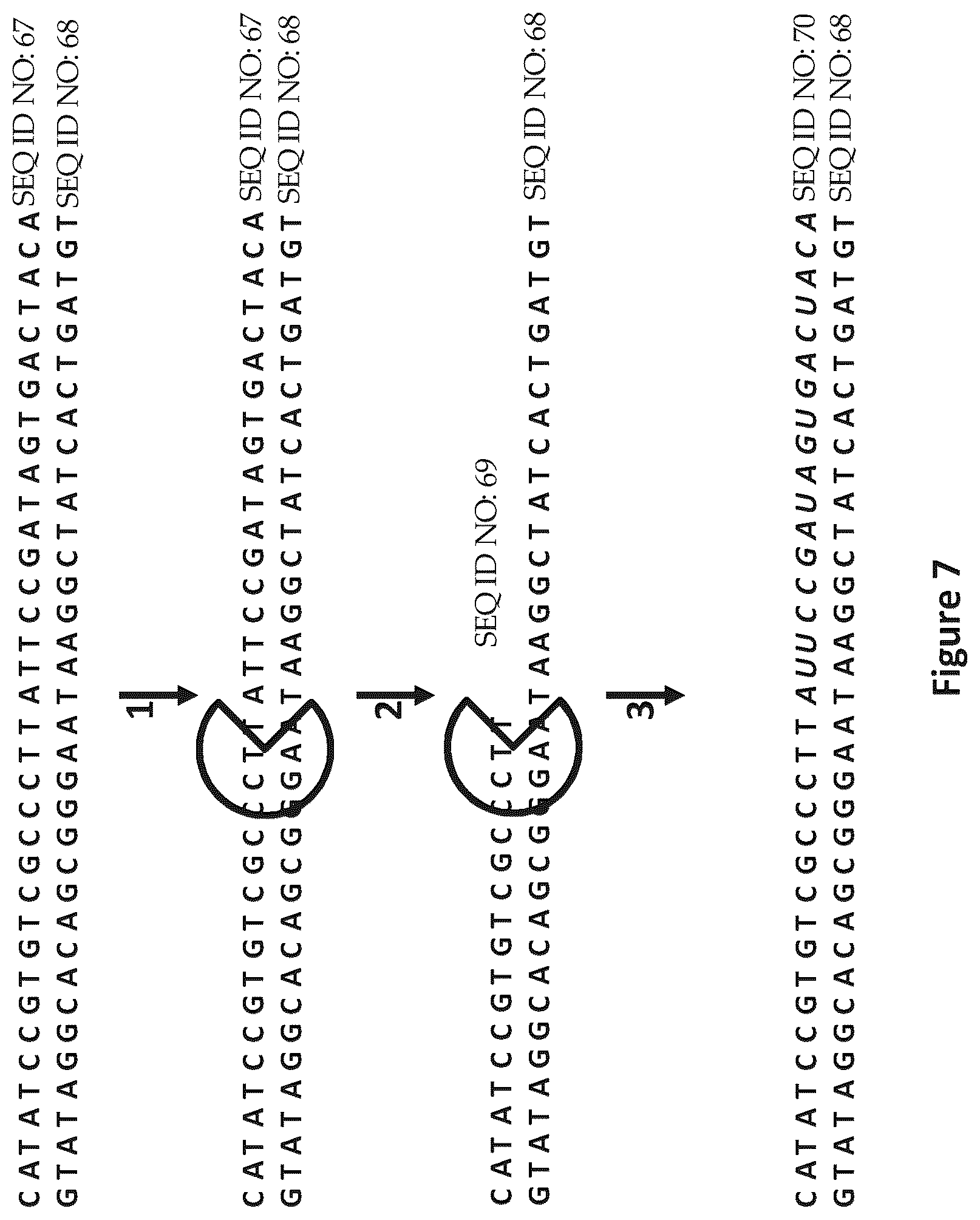 Patent US12129518 Figure 7 – Method for nanopore RNA characterization