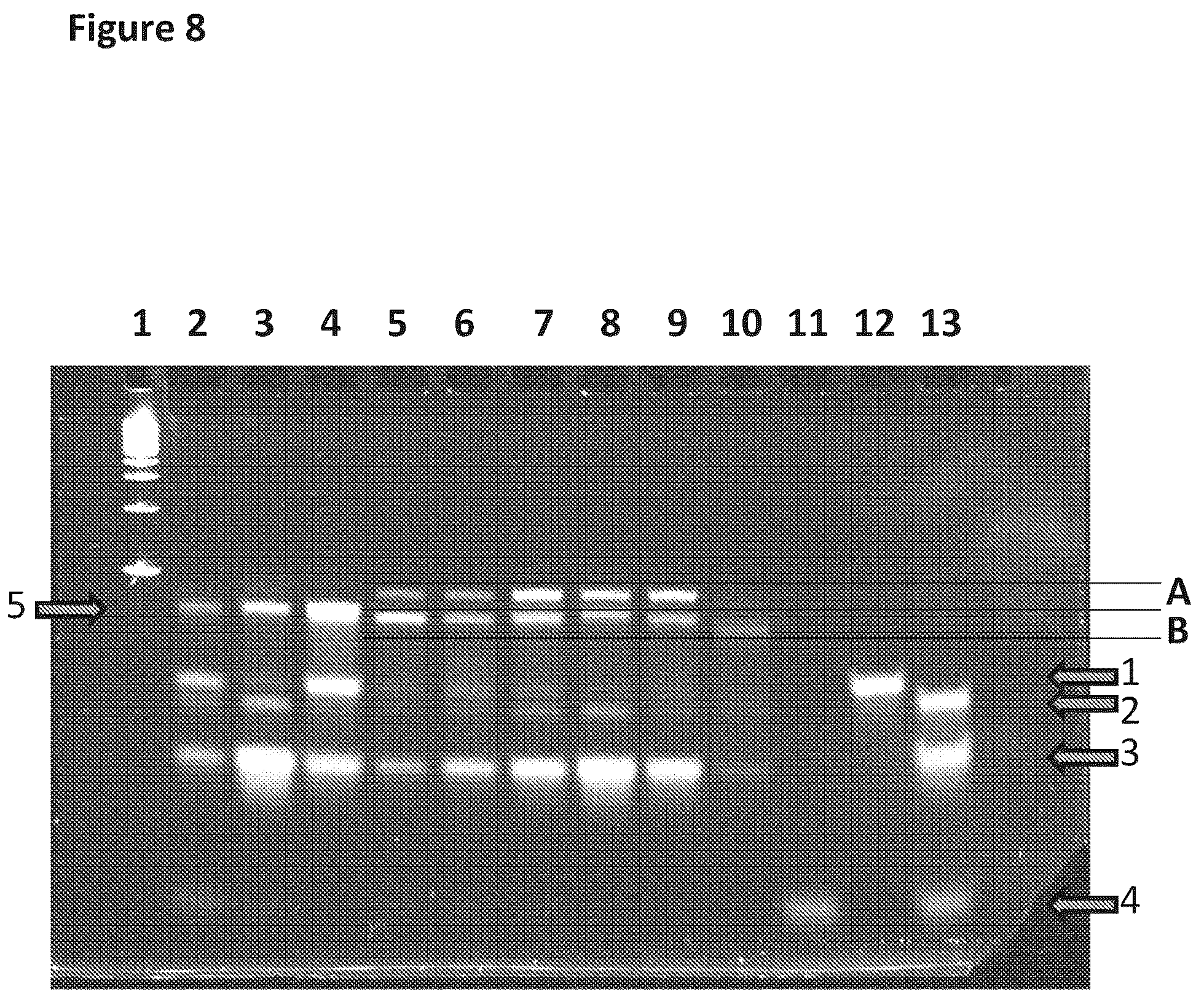 Patent US12129518 Figure 8 – Method for nanopore RNA characterization