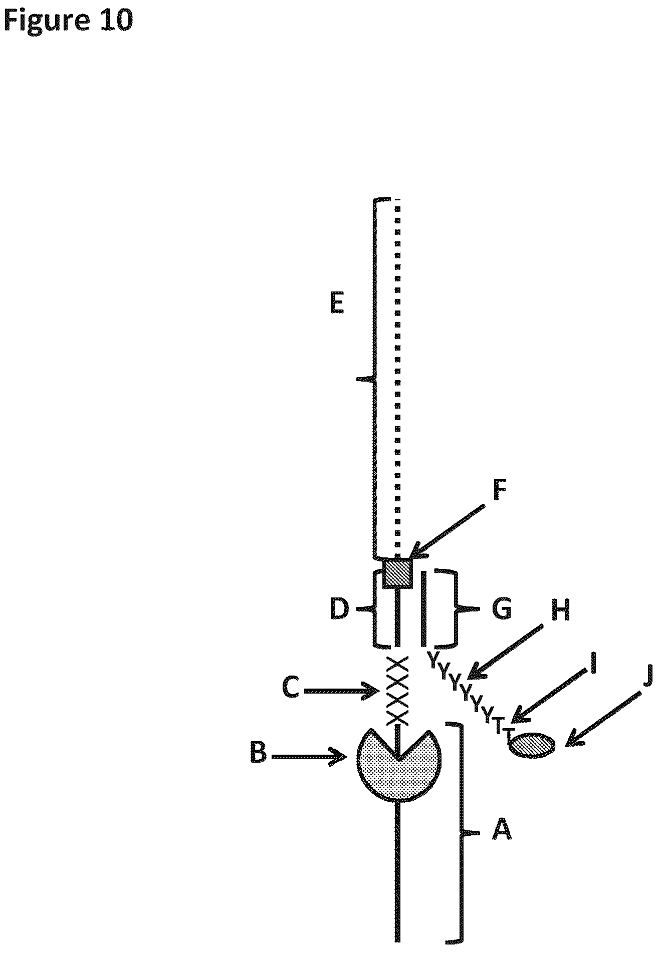 Patent US12129518 Figure 10 – Method for nanopore RNA characterization