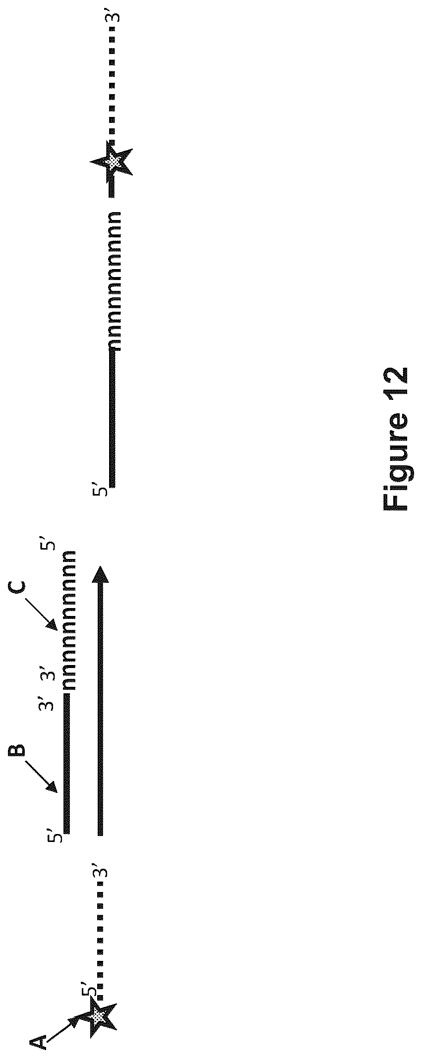 Patent US12129518 Figure 12 – Method for nanopore RNA characterization