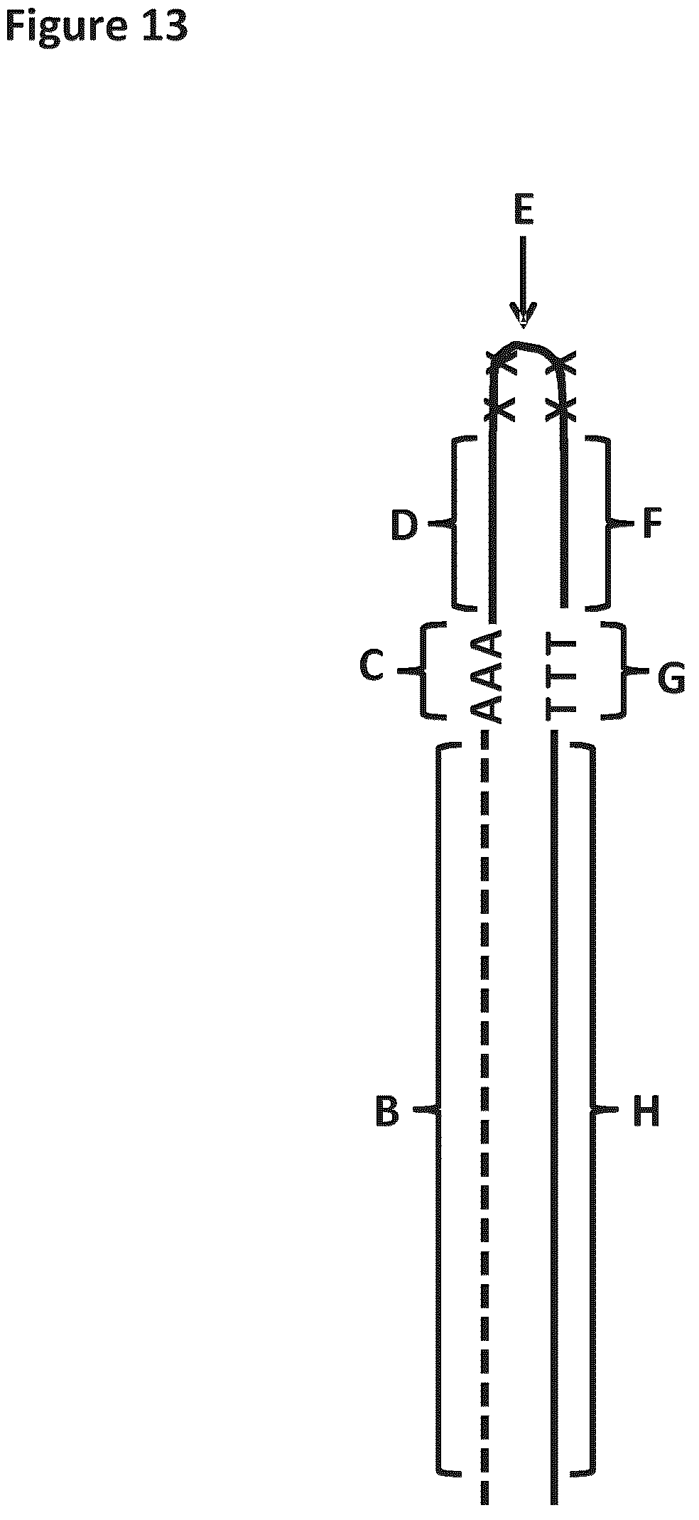 Patent US12129518 Figure 13 – Method for nanopore RNA characterization