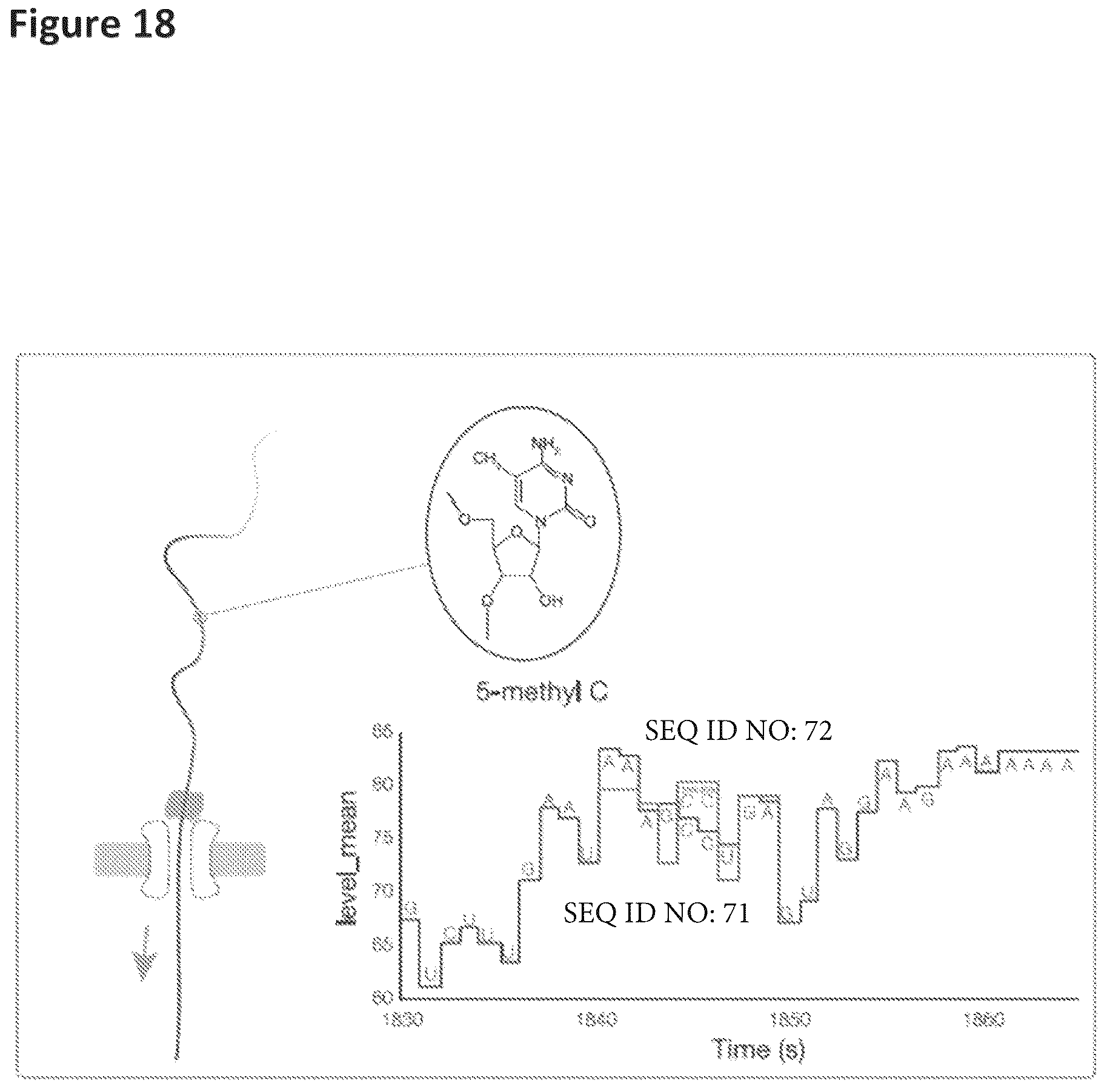 Patent US12129518 Figure 18 – Method for nanopore RNA characterization