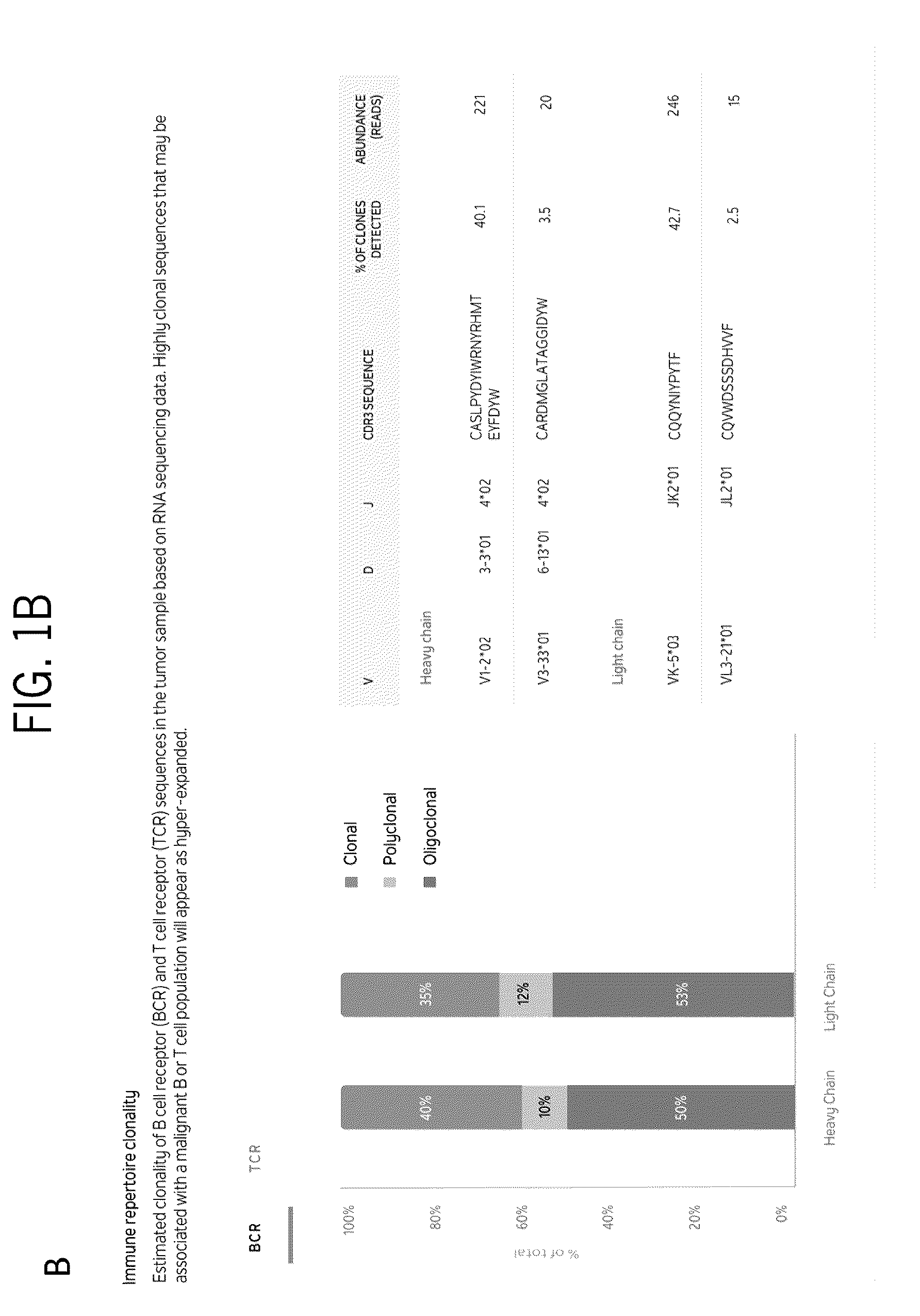 Patent US12129519 Figure 2 – TCR/BCR profiling using enrichment with pools of capture probes