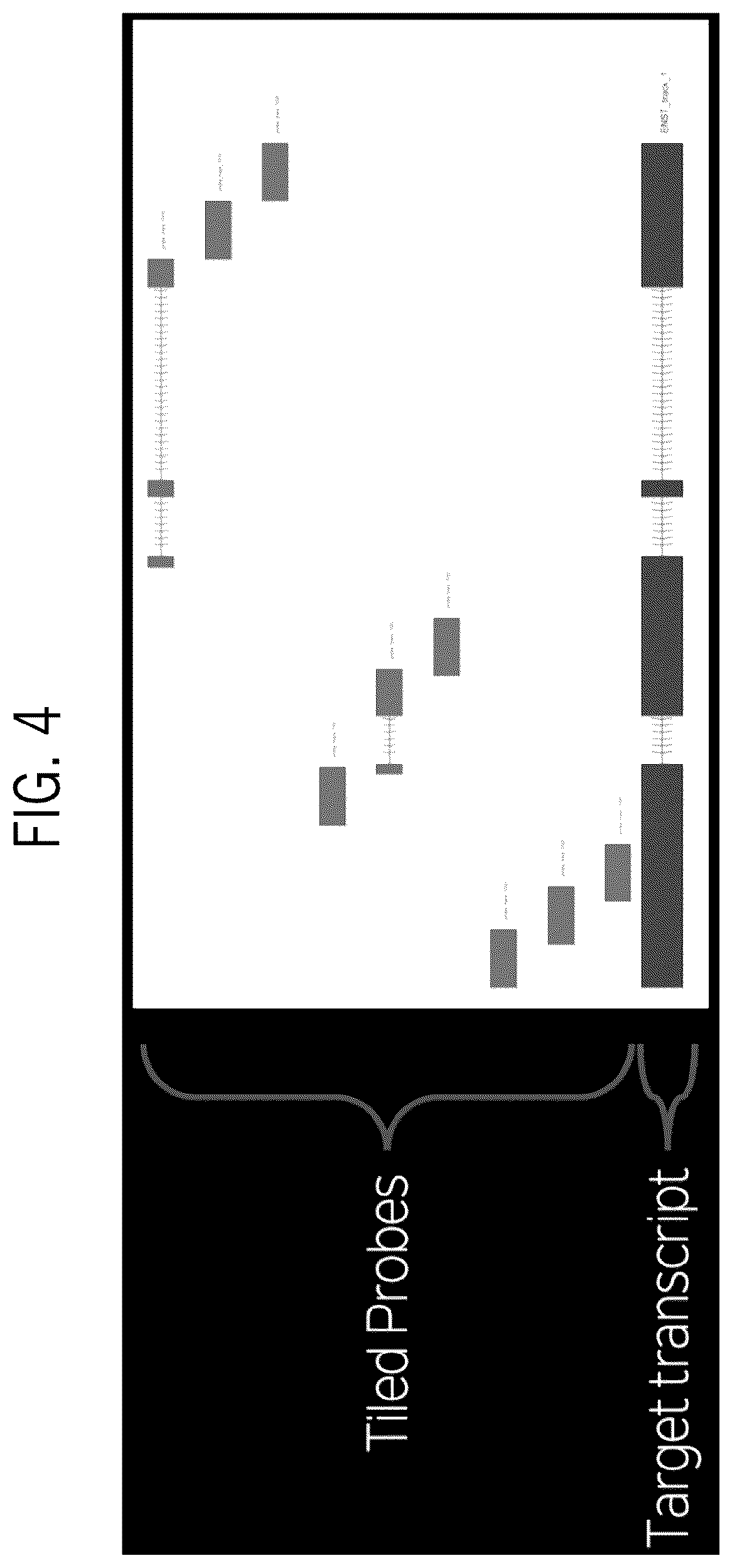 Patent US12129519 Figure 5 – TCR/BCR profiling using enrichment with pools of capture probes