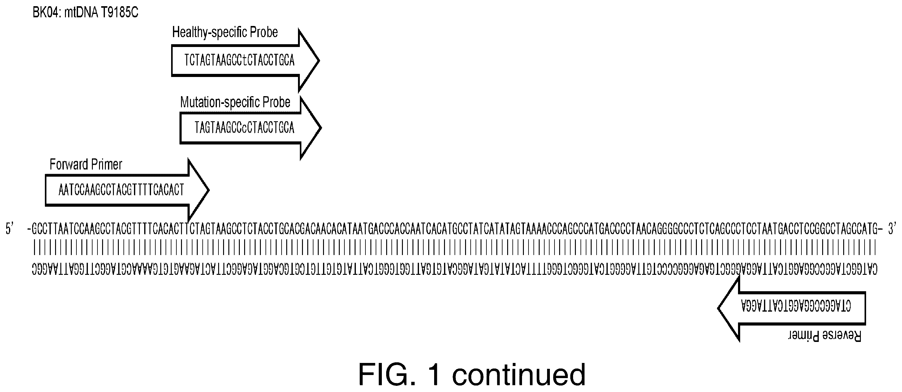 Patent US12129521 Figure 2 – Methods for detection of macro-heteroplasmy and micro-heteroplasmy in mitochondrial DNA