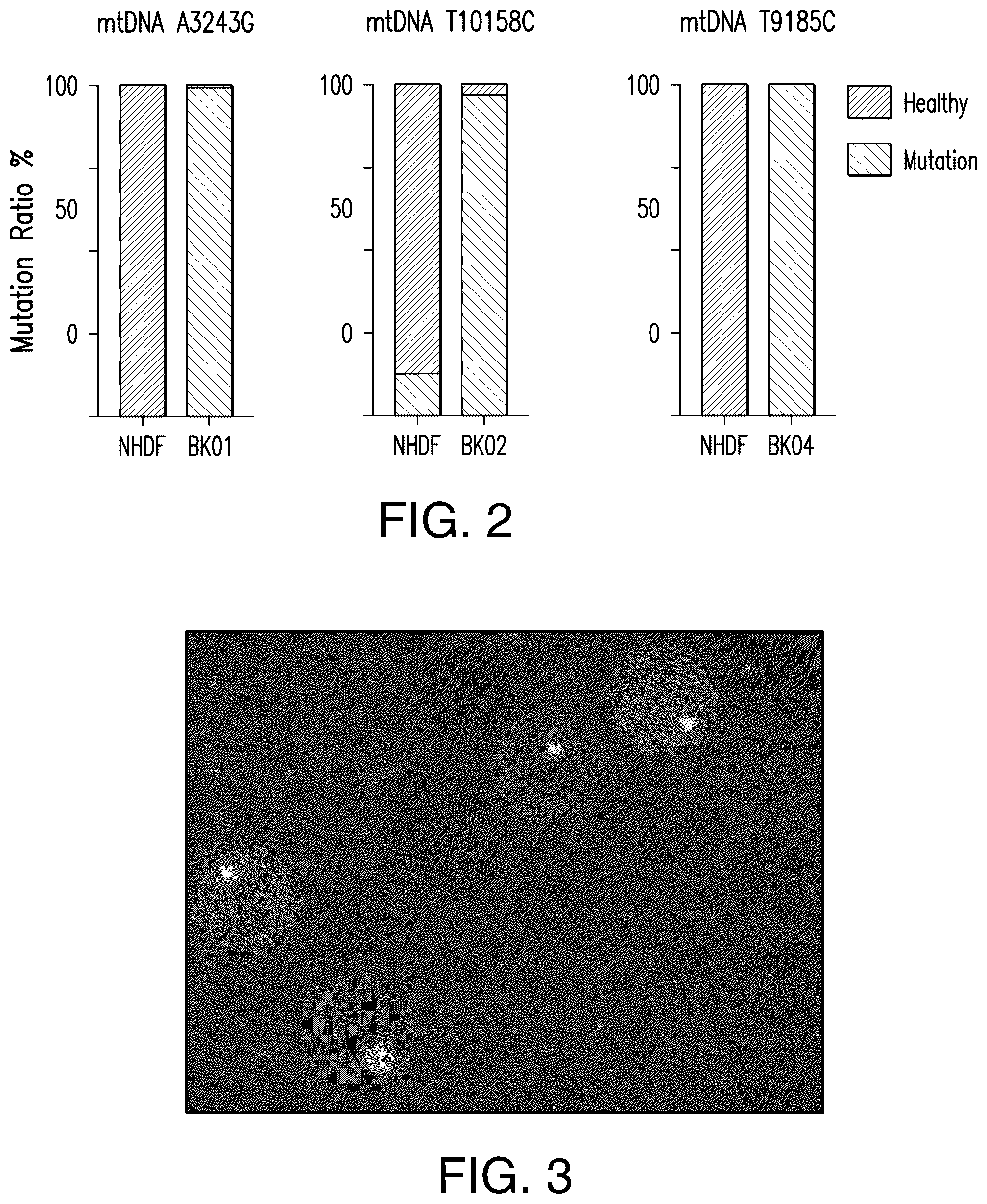 Patent US12129521 Figure 3 – Methods for detection of macro-heteroplasmy and micro-heteroplasmy in mitochondrial DNA