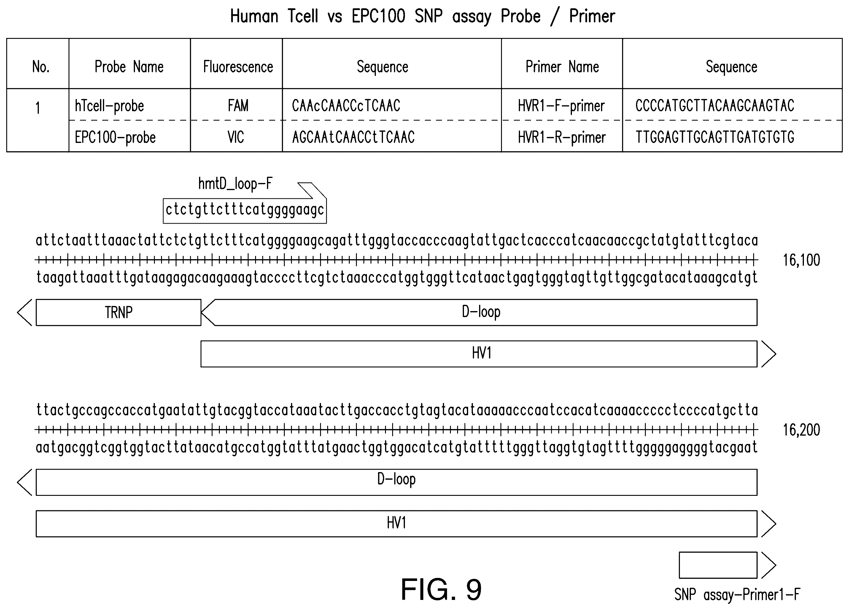 Patent US12129521 Figure 11 – Methods for detection of macro-heteroplasmy and micro-heteroplasmy in mitochondrial DNA