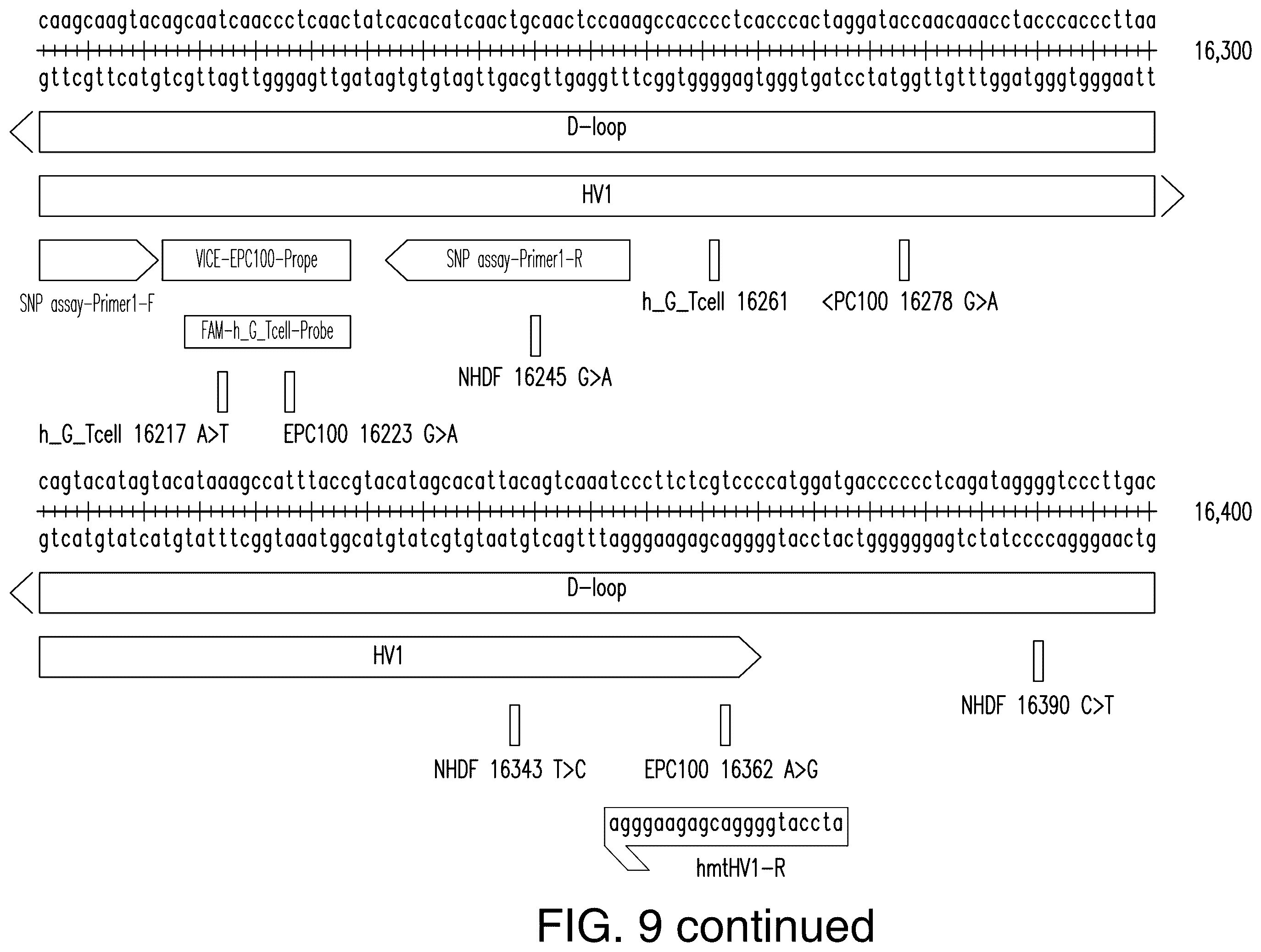 Patent US12129521 Figure 12 – Methods for detection of macro-heteroplasmy and micro-heteroplasmy in mitochondrial DNA