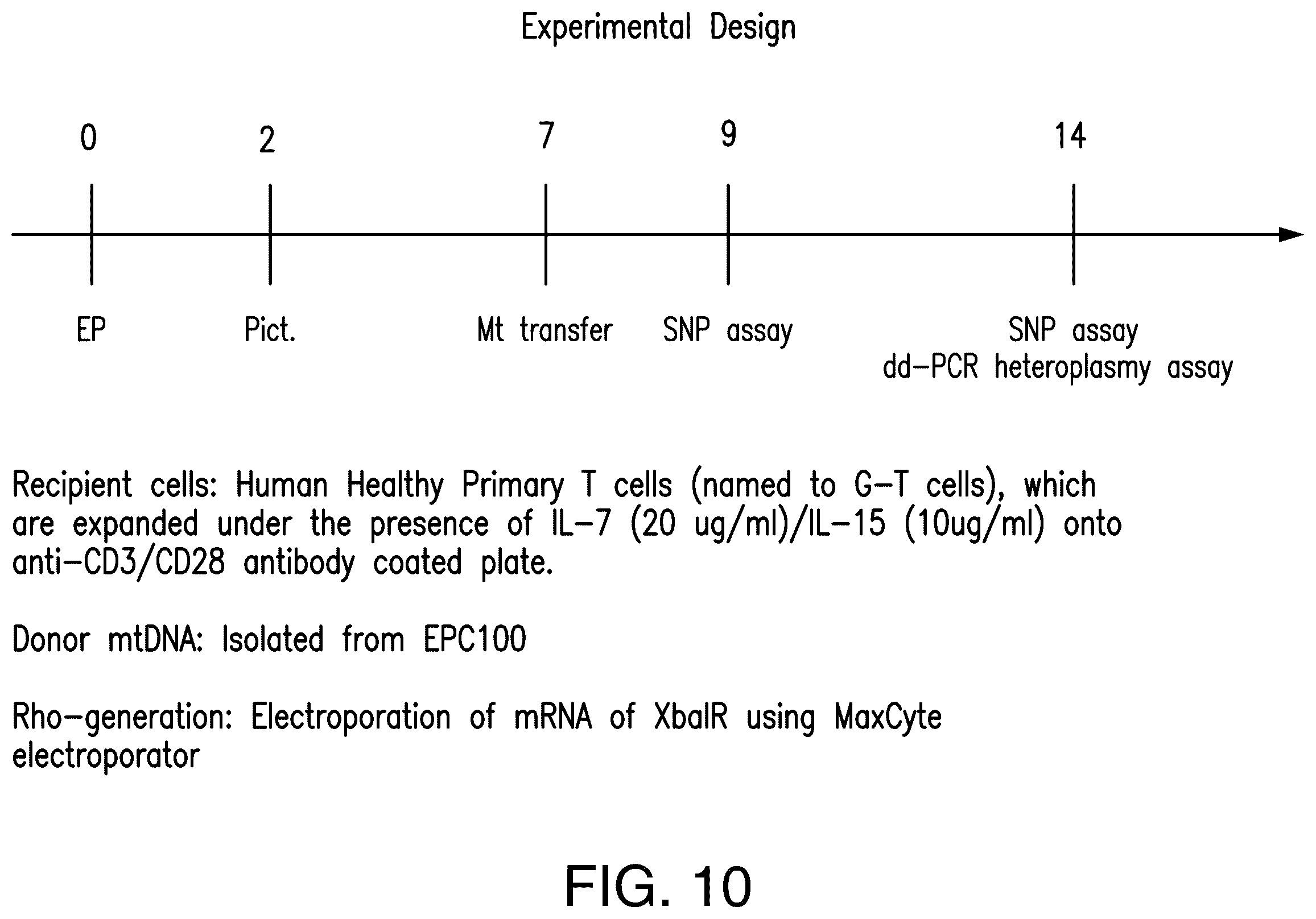 Patent US12129521 Figure 13 – Methods for detection of macro-heteroplasmy and micro-heteroplasmy in mitochondrial DNA