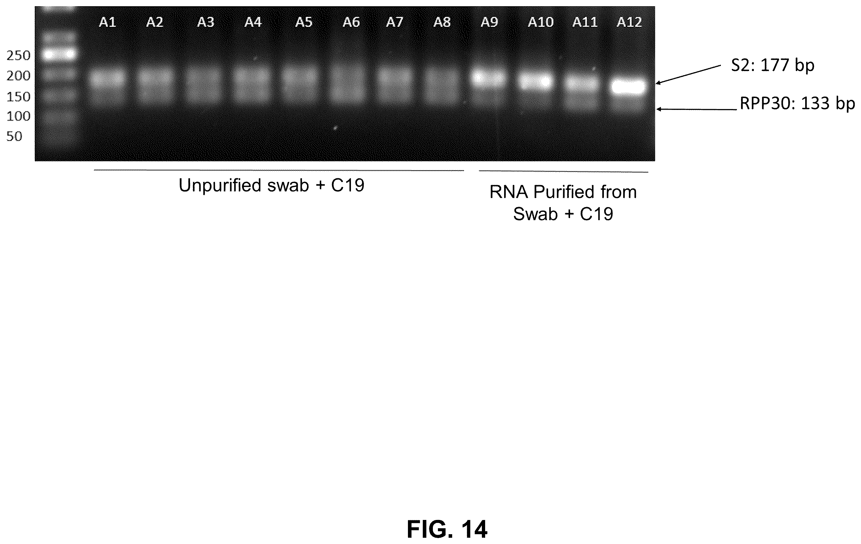 Patent US12129523 Figure 15 – Pathogen diagnostic test
