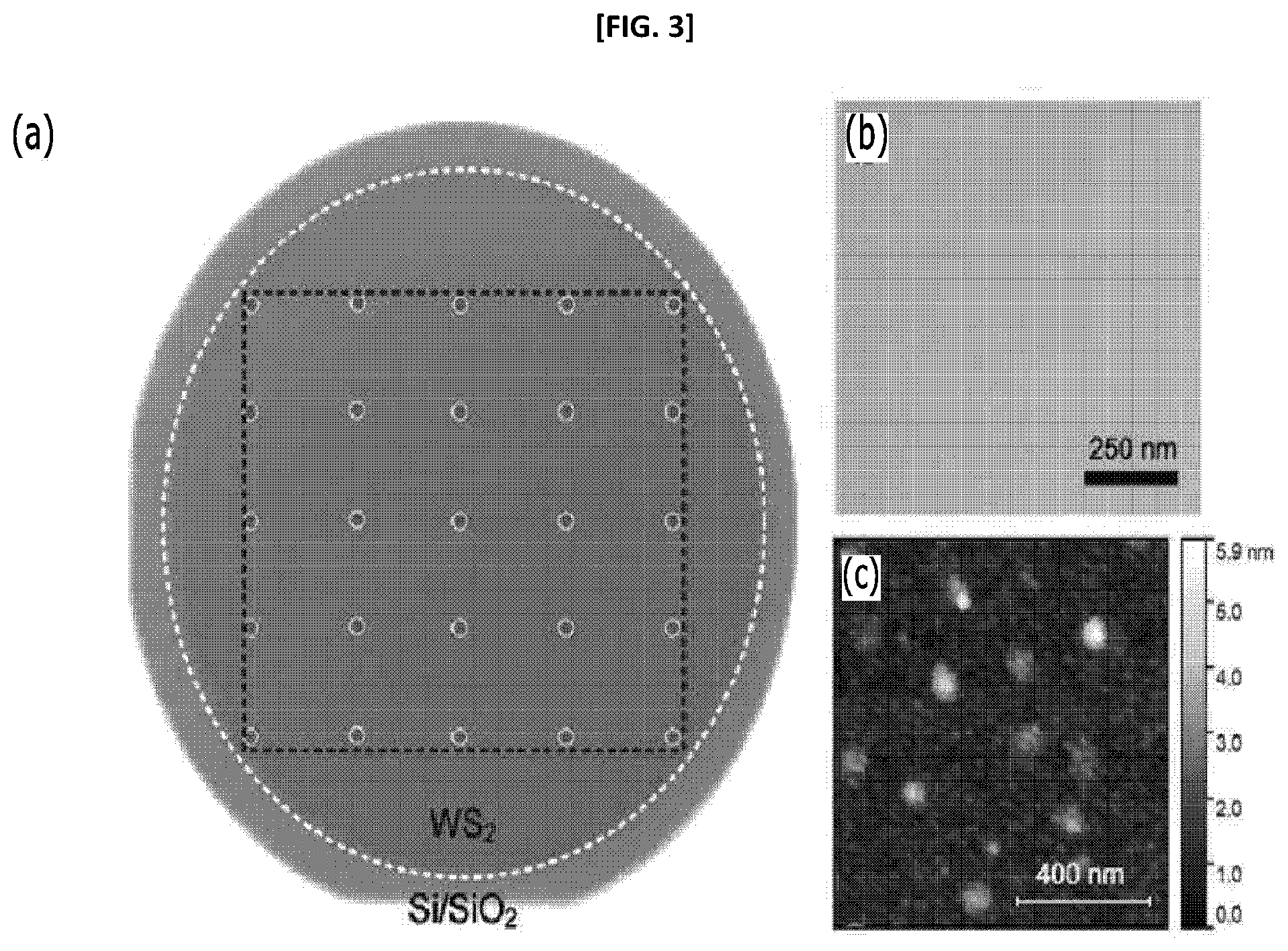 Patent US12129547 Figure 3 – Method for producing octahedron transition metal dichalcogenides using plasma