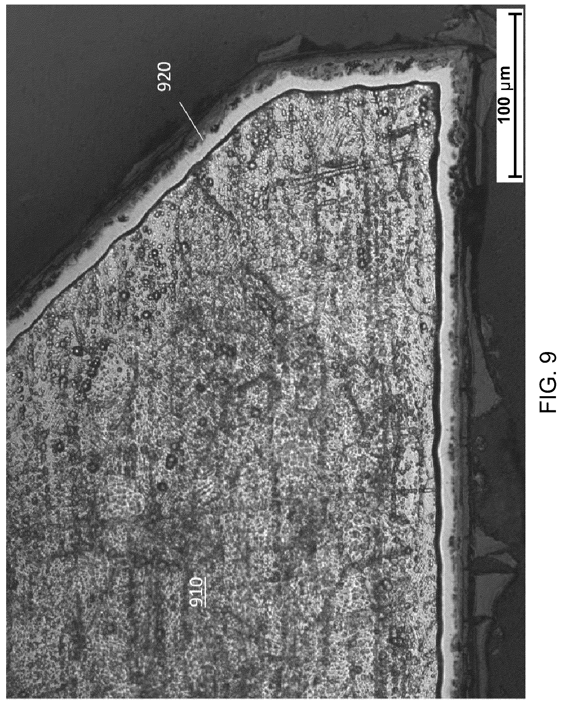 Patent US12129556 Figure 10 – Chemical activation of self-passivating metals