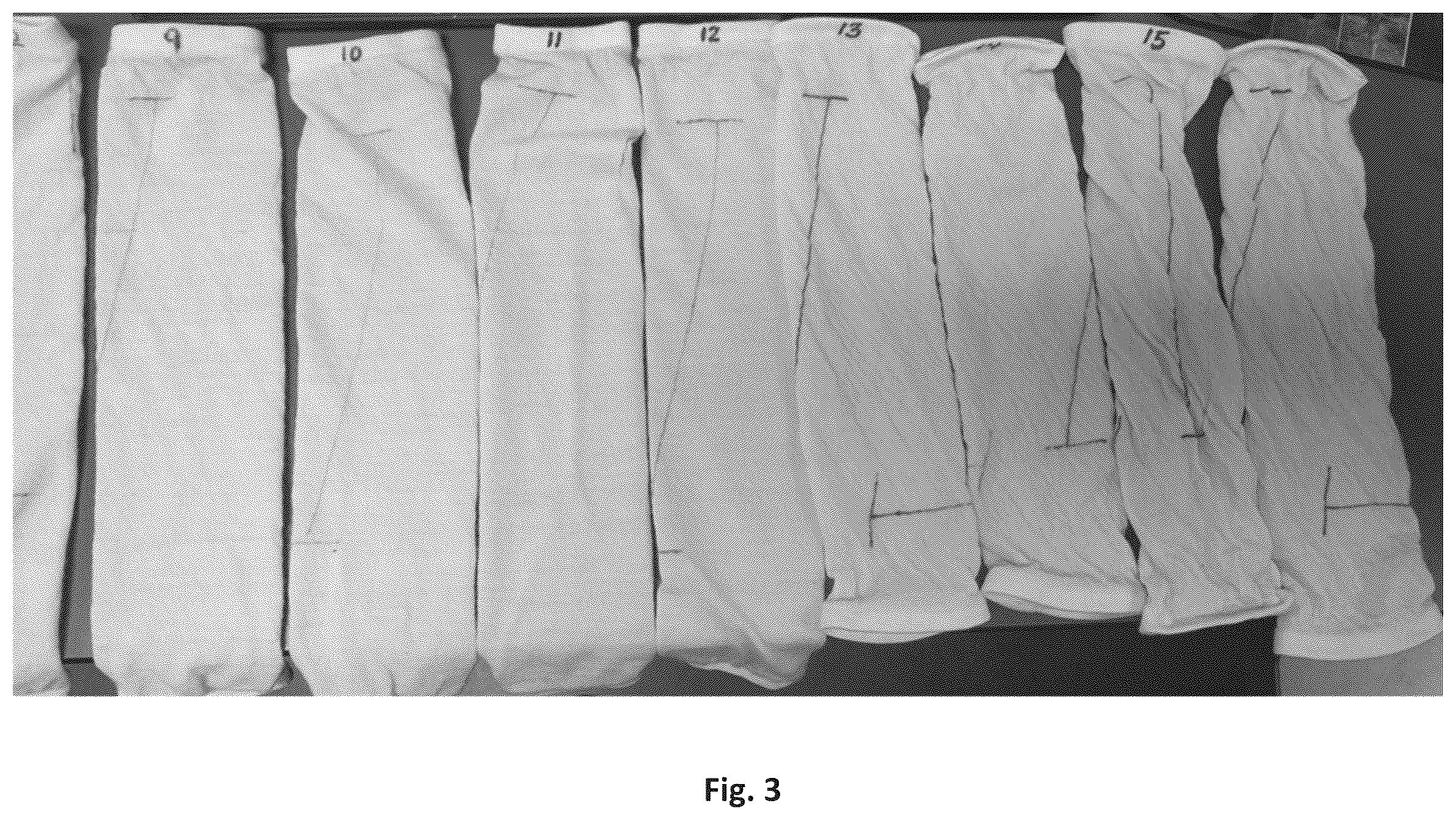 Patent US12129596 Figure 3 – Silk coated fabrics and products and methods of preparing the same