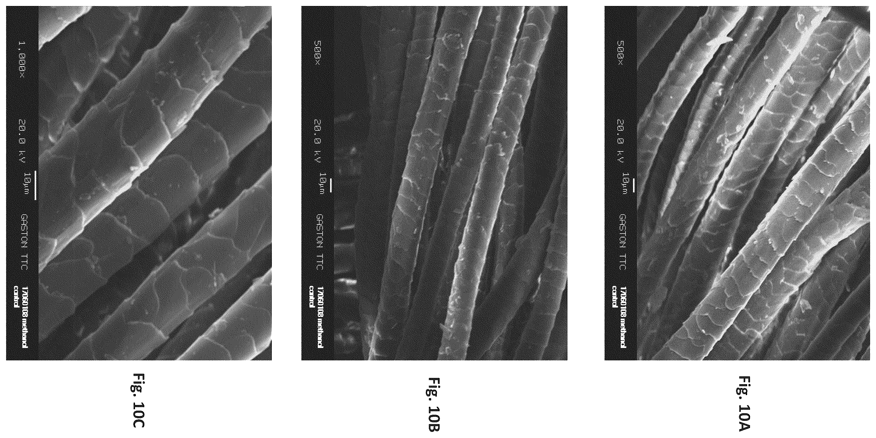 Patent US12129596 Figure 10 – Silk coated fabrics and products and methods of preparing the same