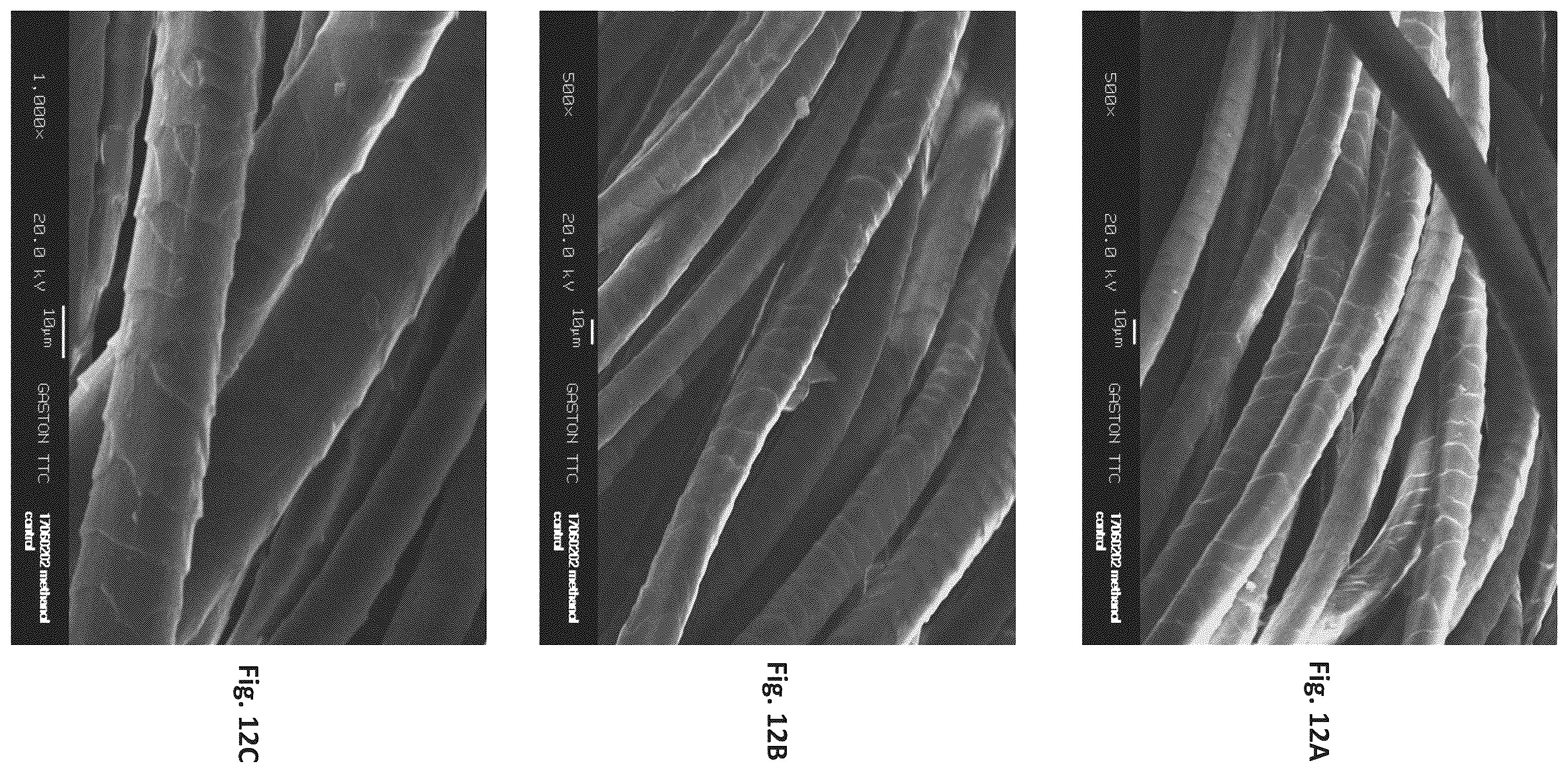 Patent US12129596 Figure 12 – Silk coated fabrics and products and methods of preparing the same