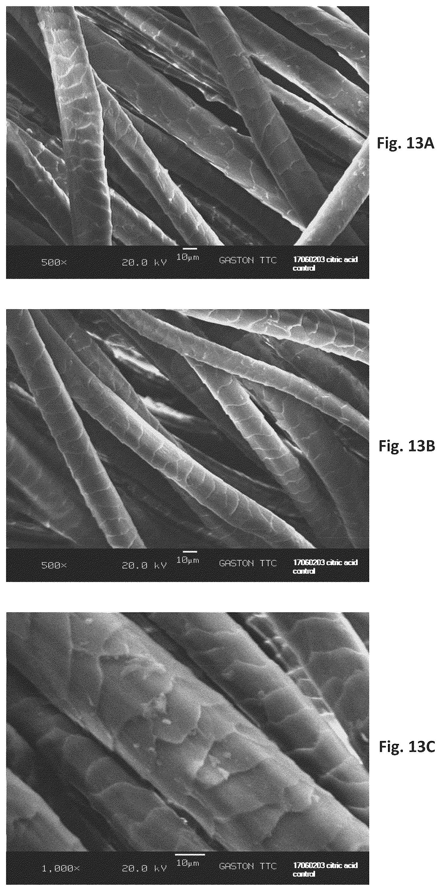 Patent US12129596 Figure 13 – Silk coated fabrics and products and methods of preparing the same