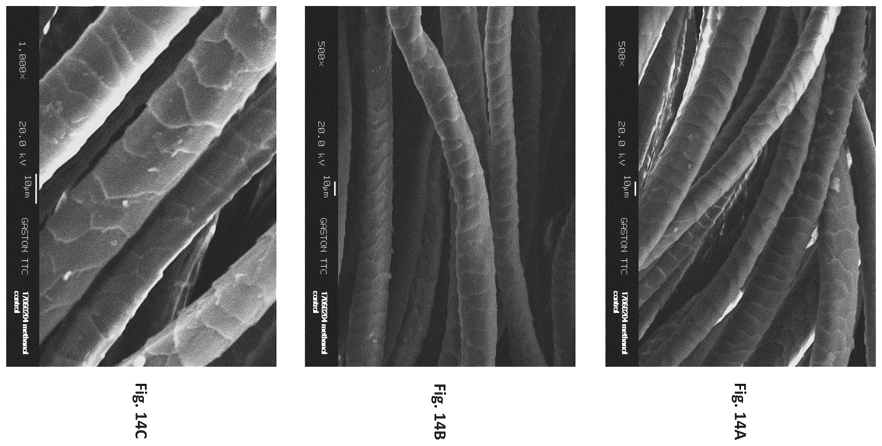 Patent US12129596 Figure 14 – Silk coated fabrics and products and methods of preparing the same