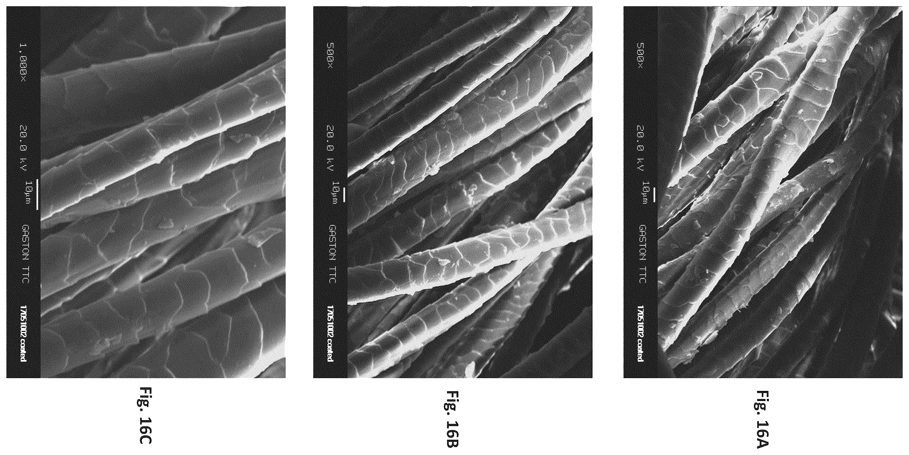 Patent US12129596 Figure 16 – Silk coated fabrics and products and methods of preparing the same