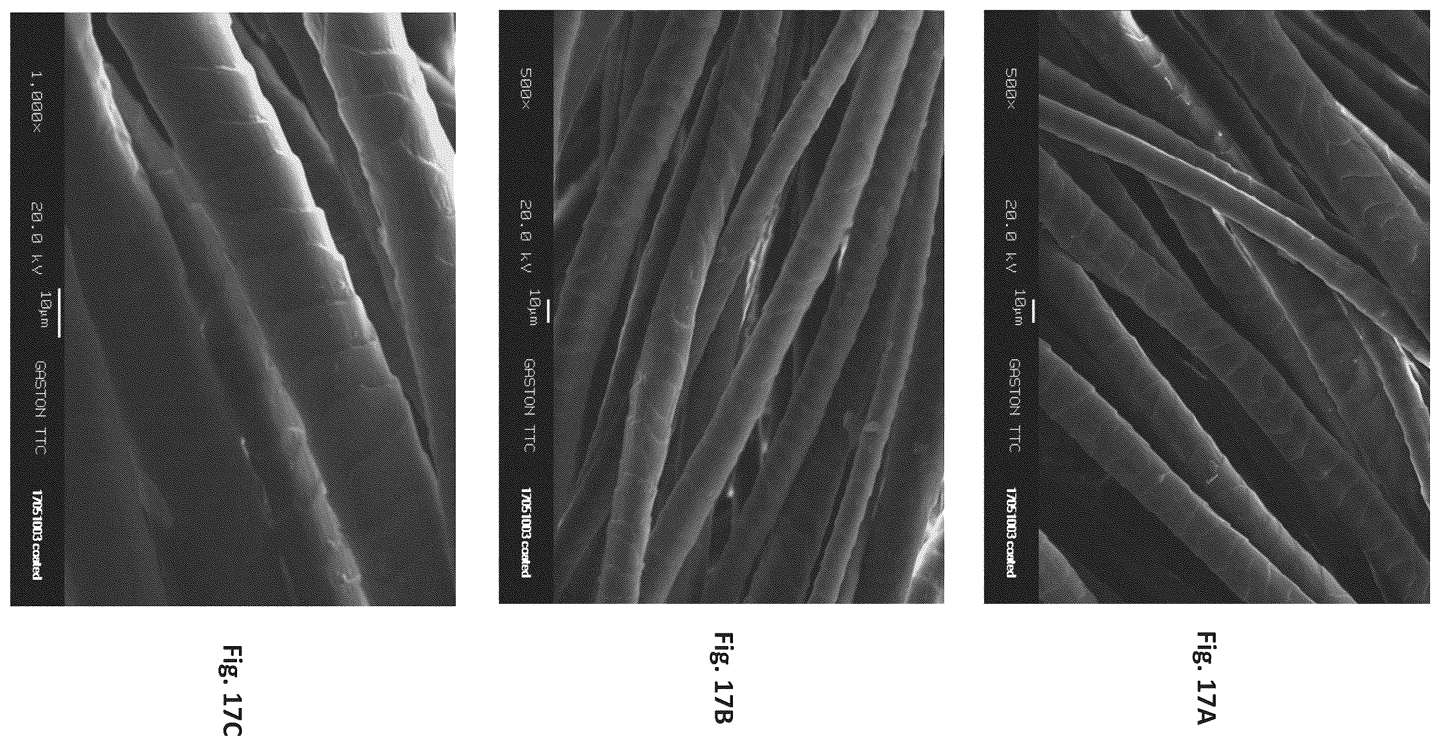 Patent US12129596 Figure 17 – Silk coated fabrics and products and methods of preparing the same