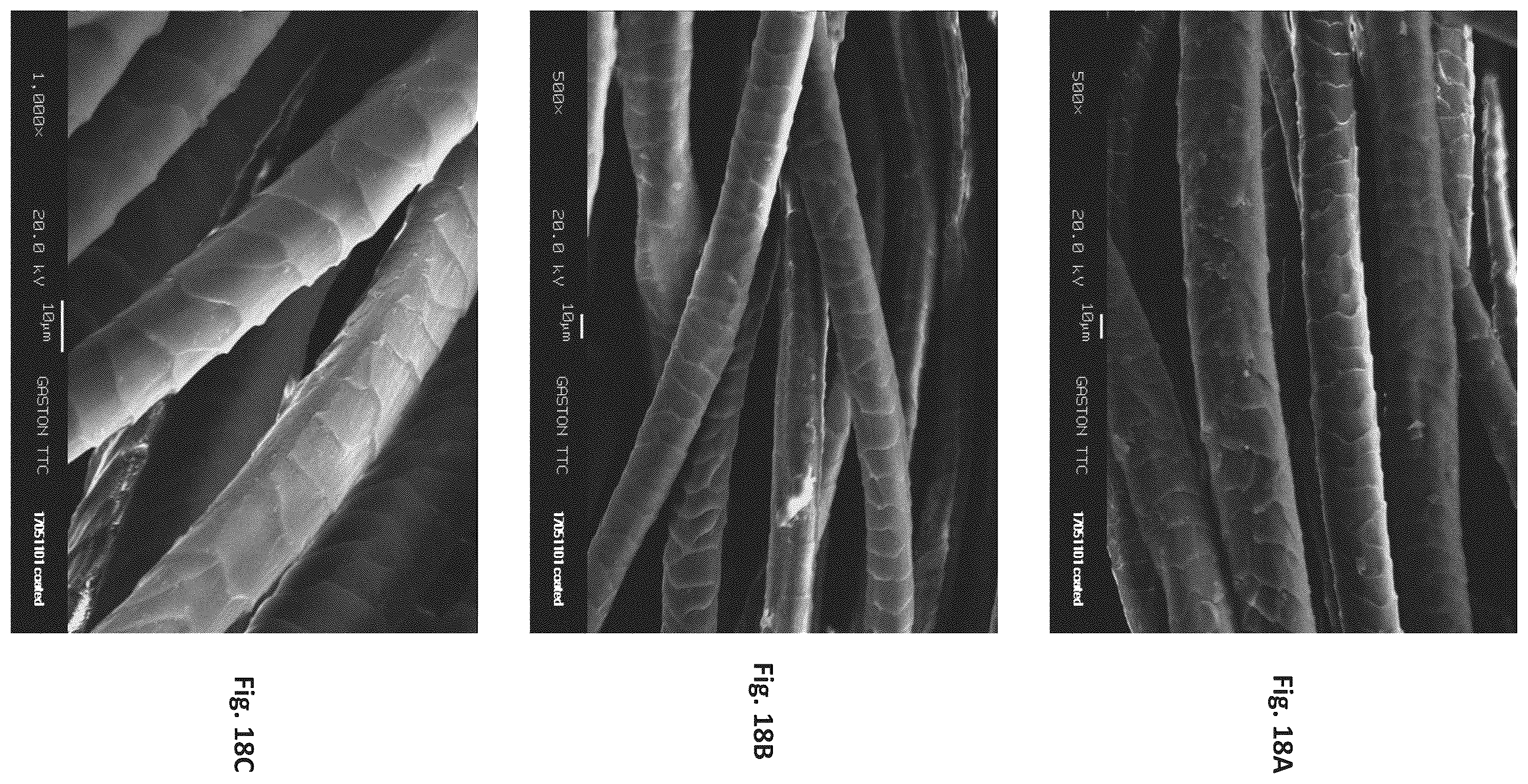 Patent US12129596 Figure 18 – Silk coated fabrics and products and methods of preparing the same